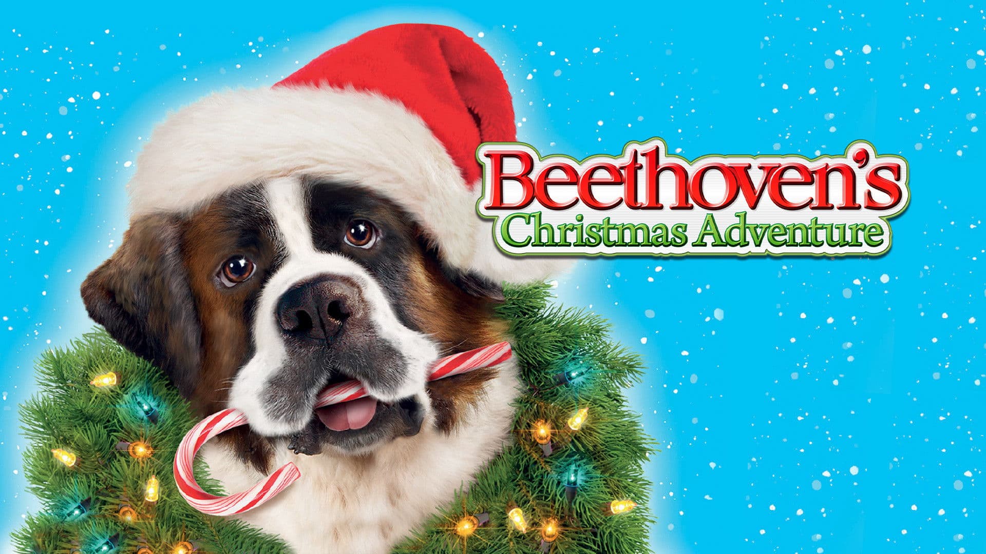 Beethoven - L'avventura di Natale - immagine