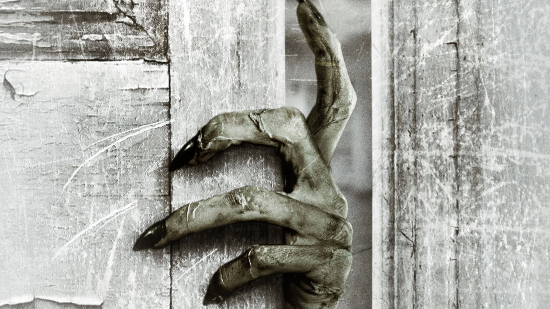 The Other Side of the Door - immagine