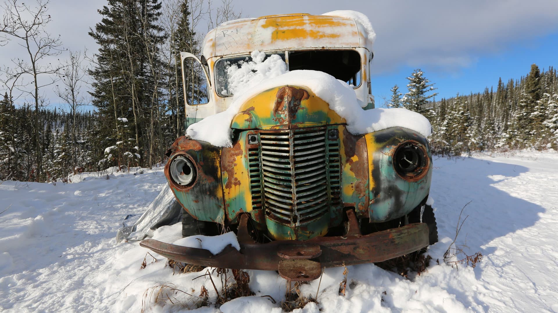 Return to the Wild: The Chris McCandless Story - immagine