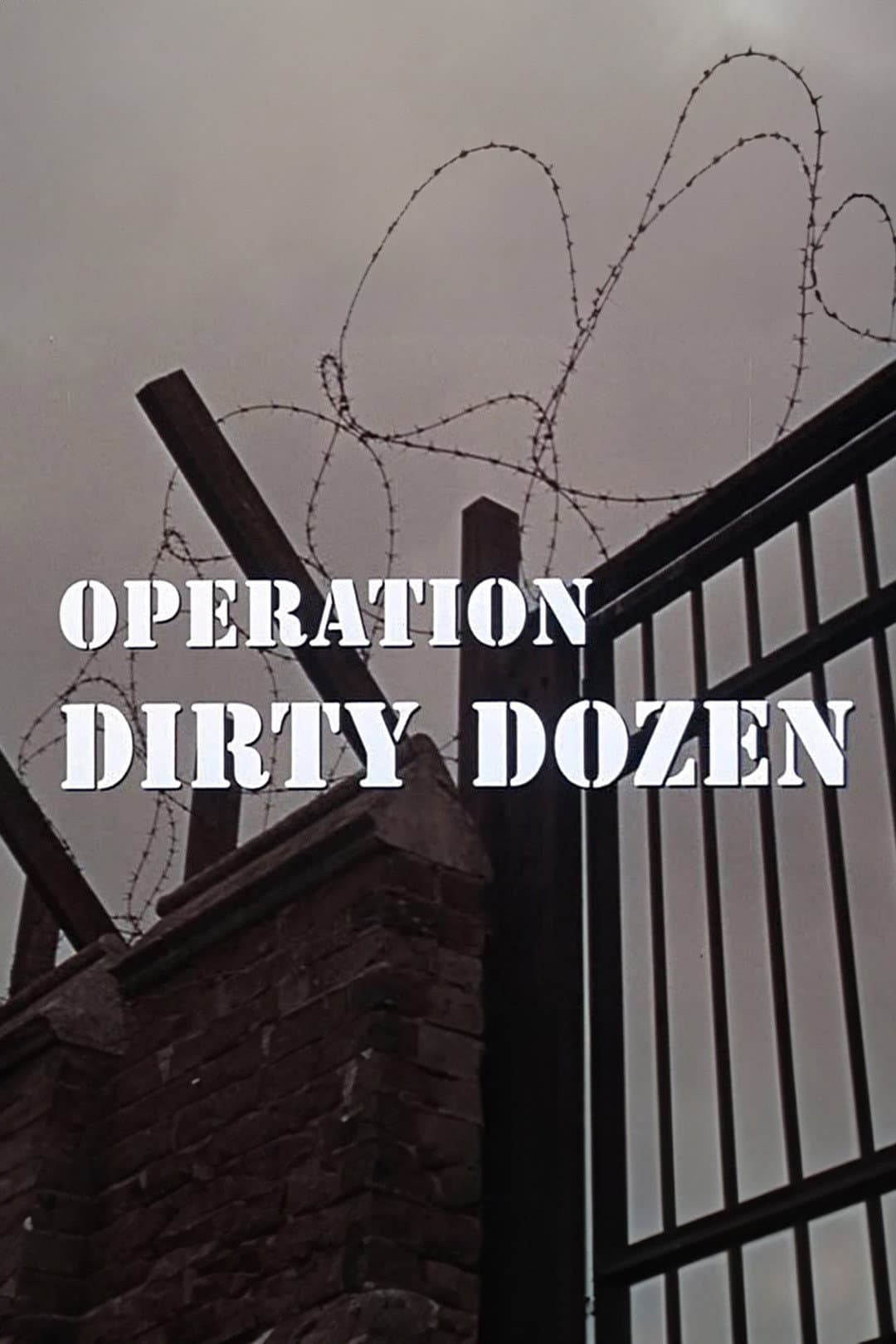 Poster di Operation Dirty Dozen