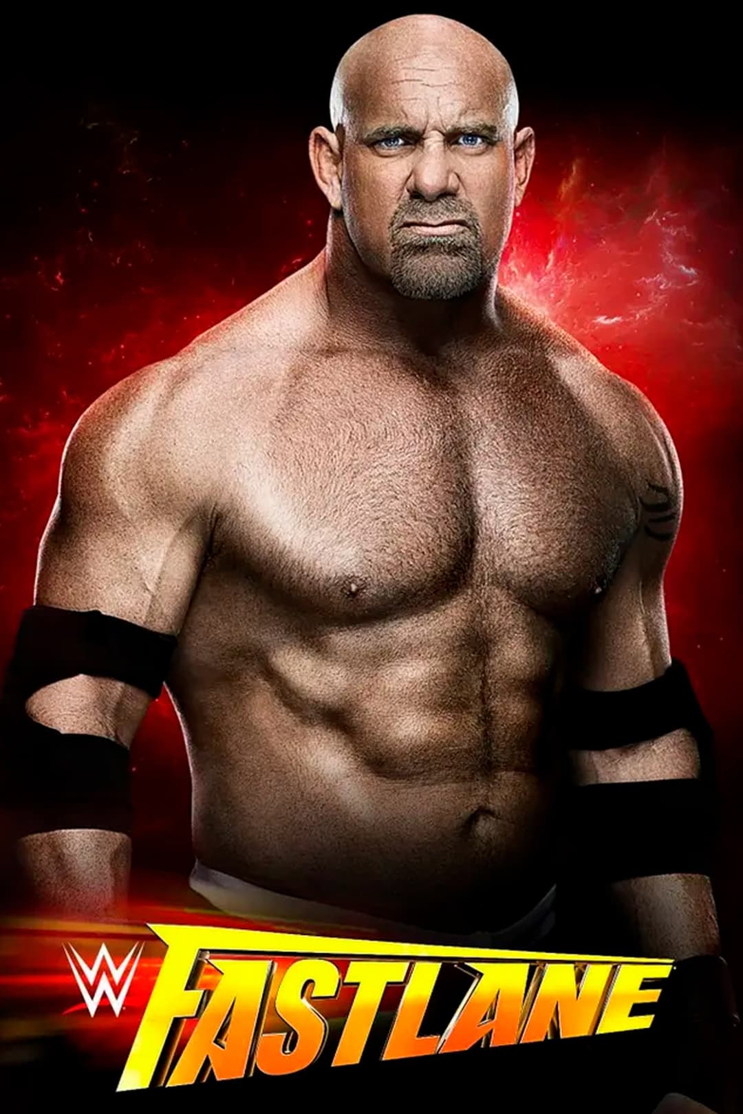 Poster di WWE Fastlane 2017