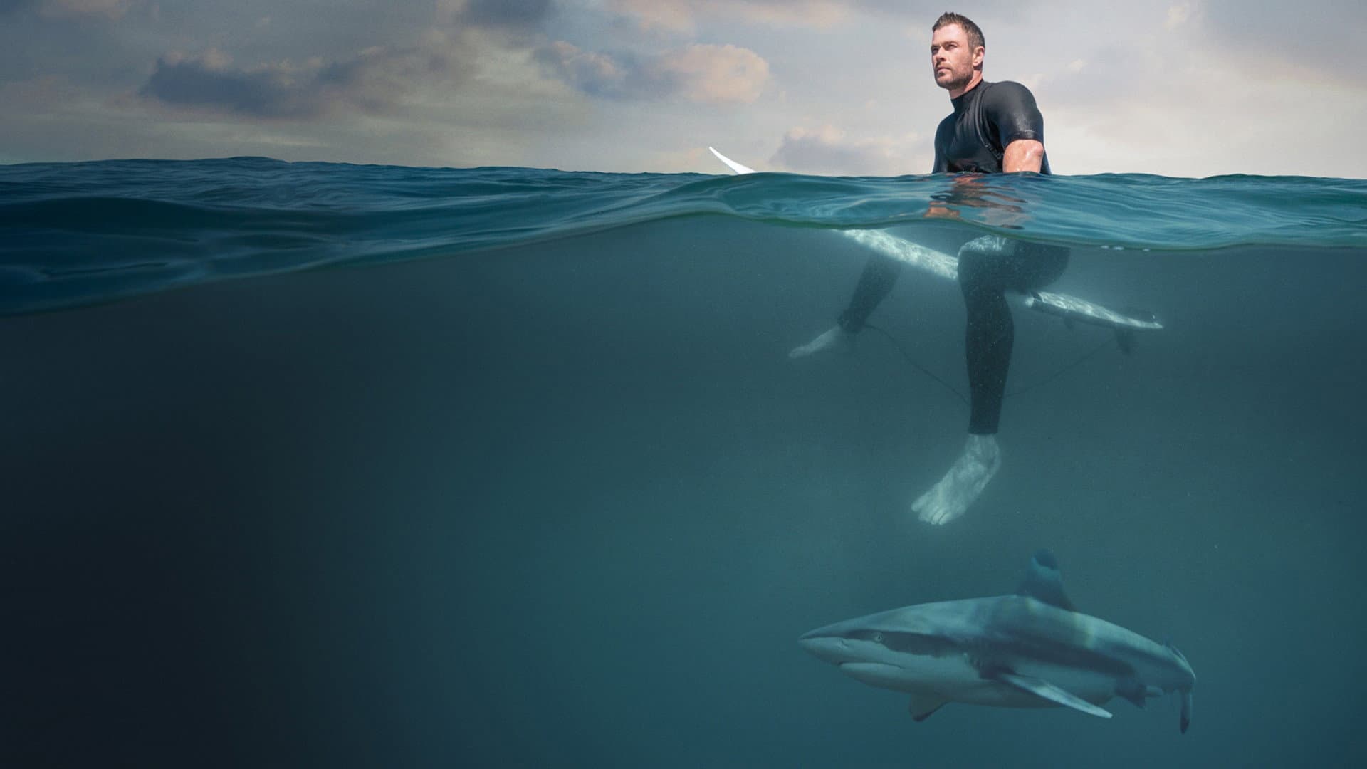Shark Beach with Chris Hemsworth - immagine
