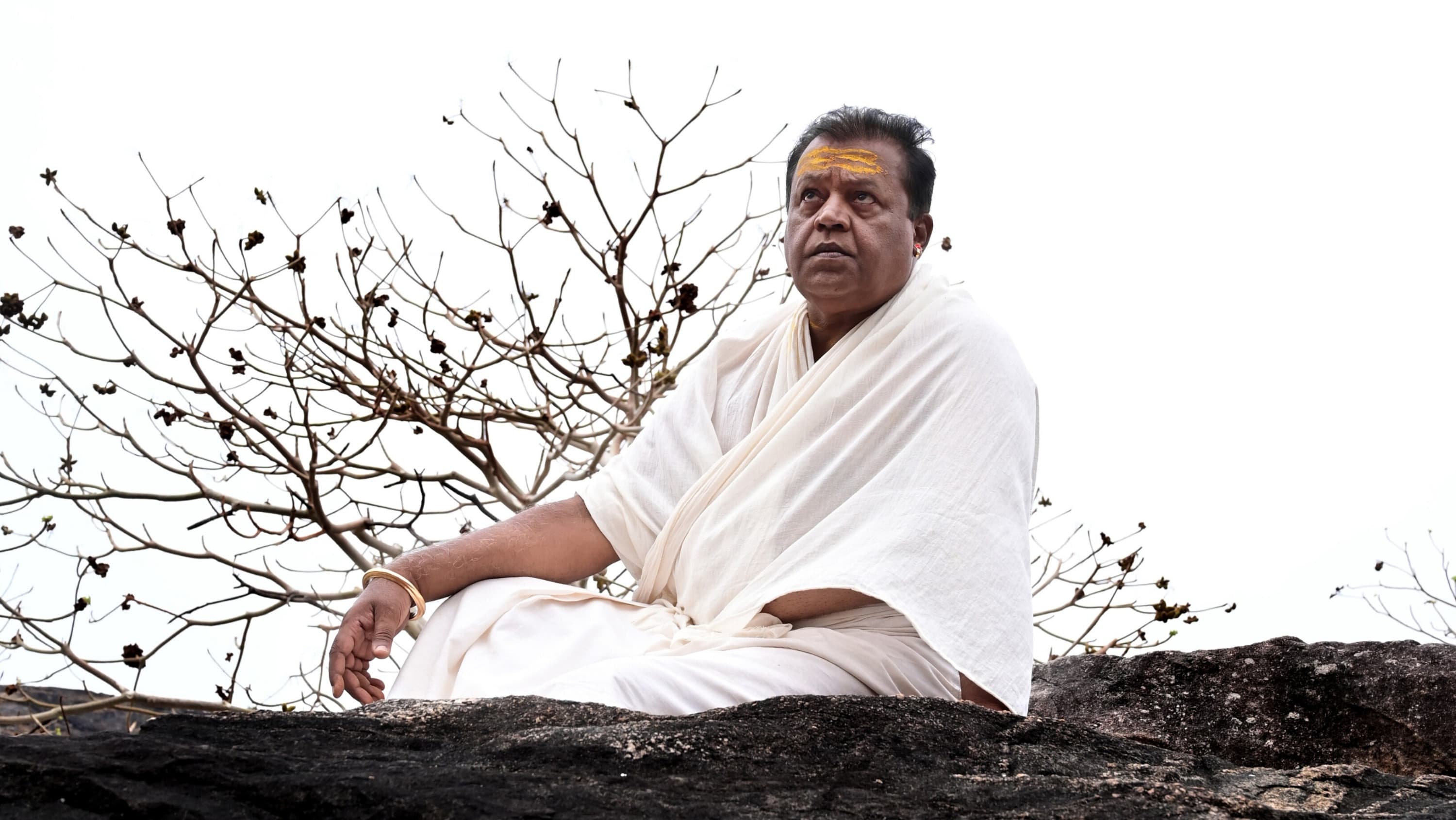 ഒരു പെരുംകളിയാട്ടം - immagine