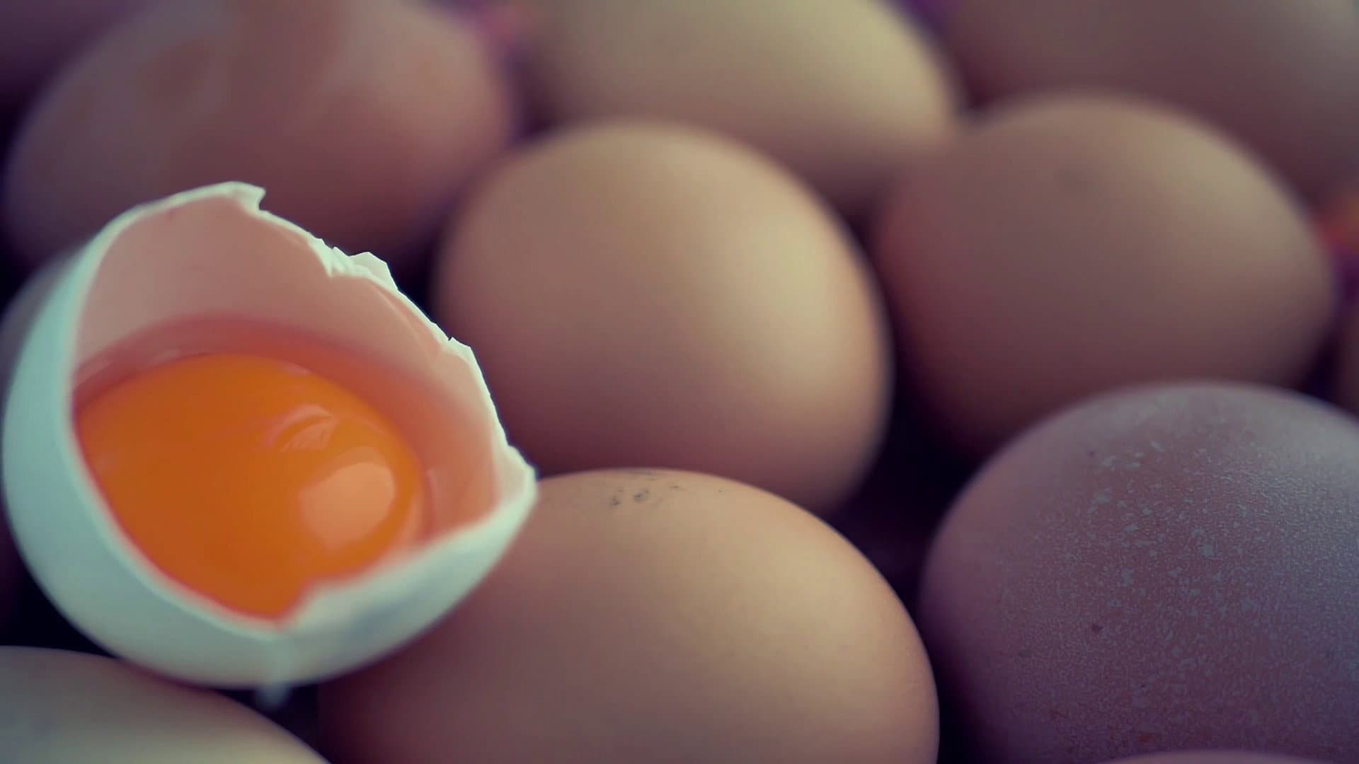 Egg Egg - A Hardboiled Story - immagine