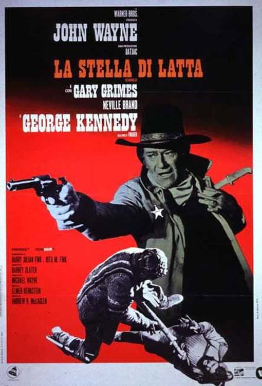 Poster di La stella di latta