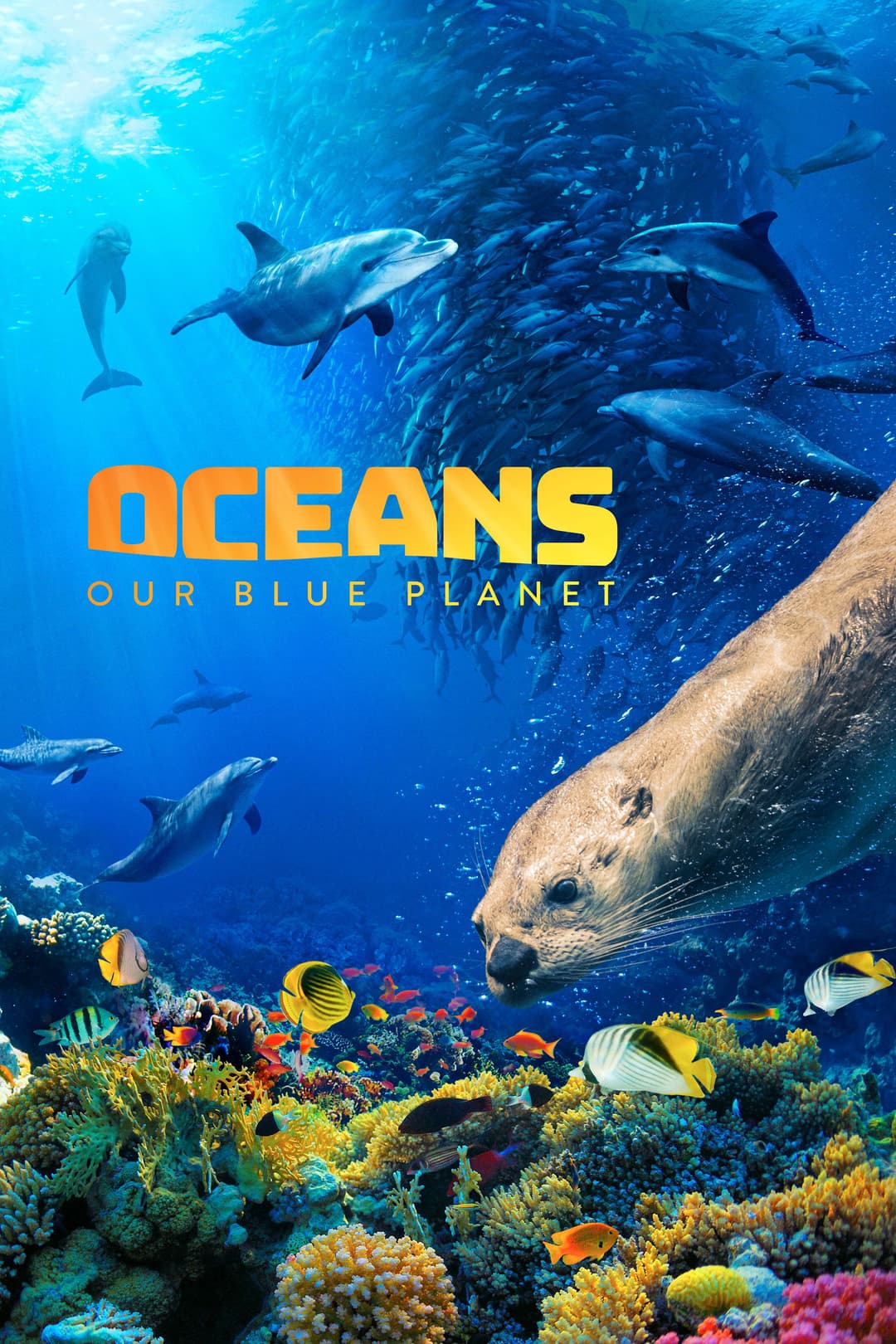 Poster di La vita negli oceani