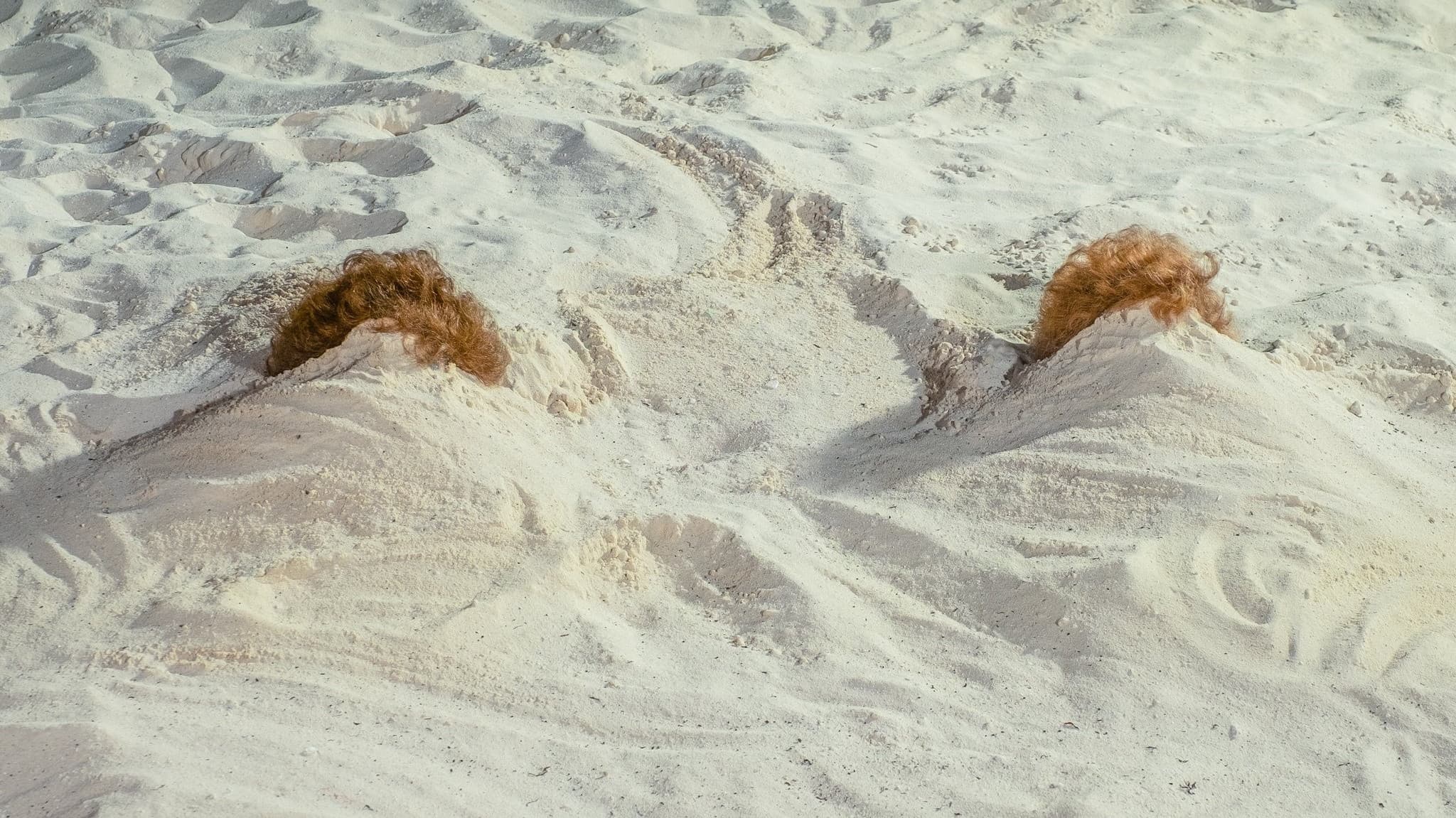Barb e Star vanno a Vista Del Mar - immagine