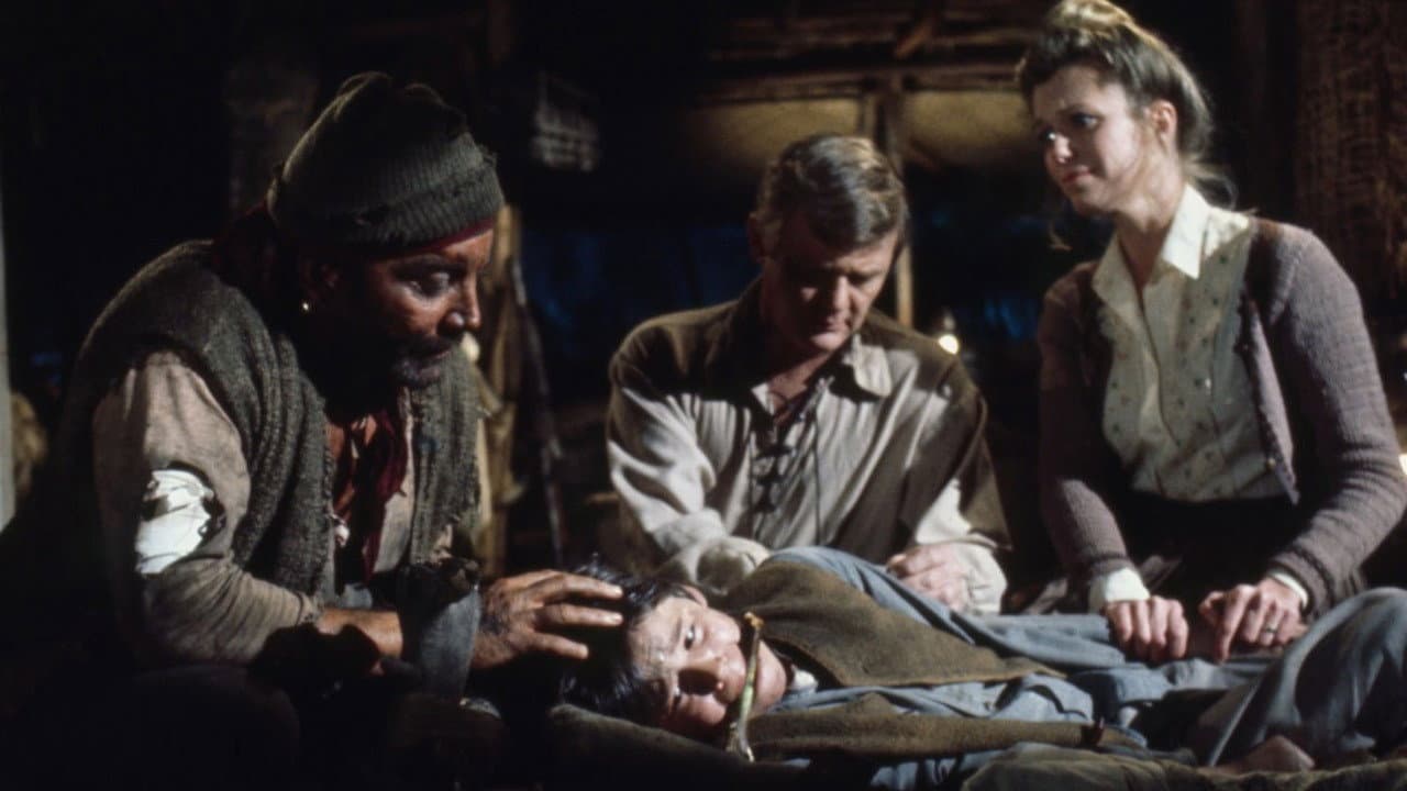The Swiss Family Robinson - immagine