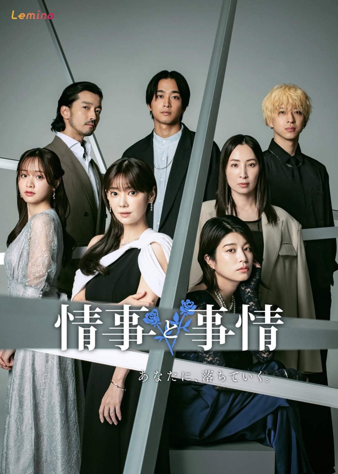 Poster di 情事と事情