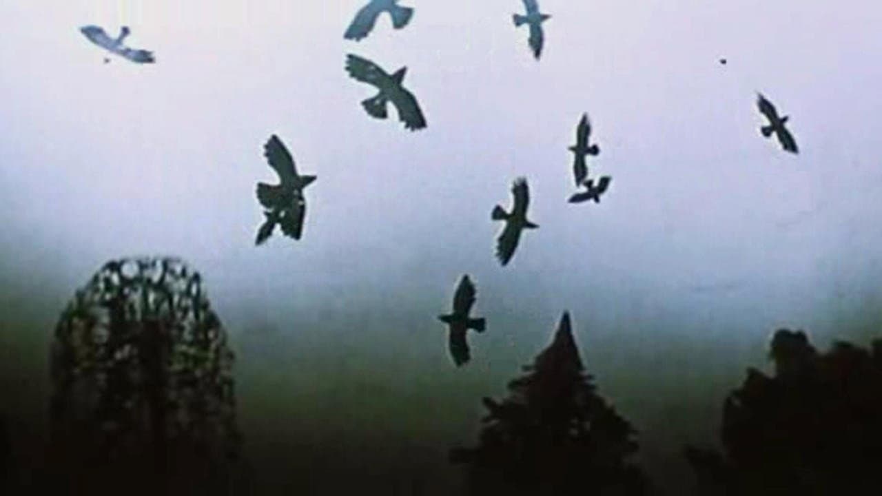 Le quattro stagioni - immagine