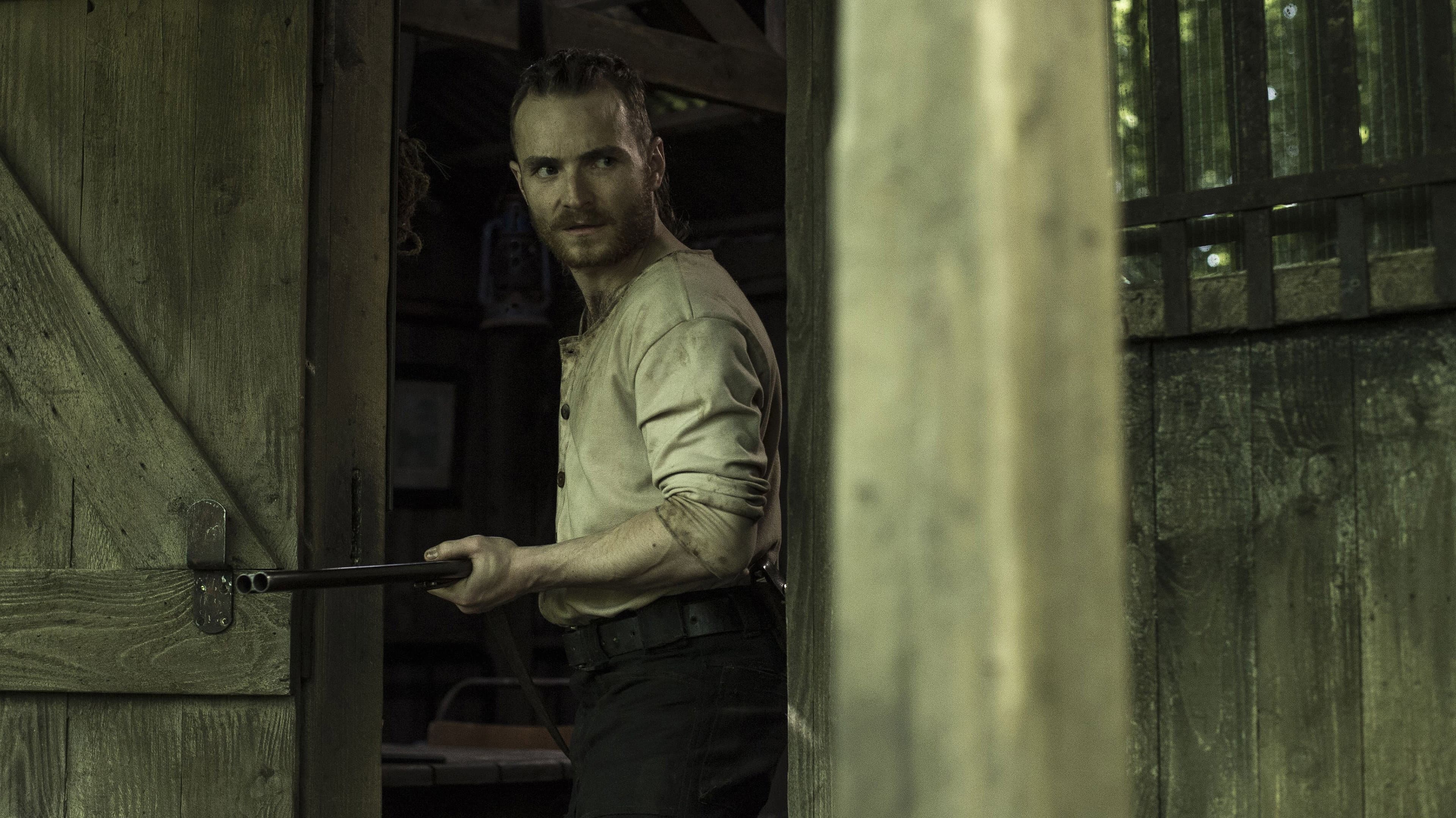 The Survivalist - immagine