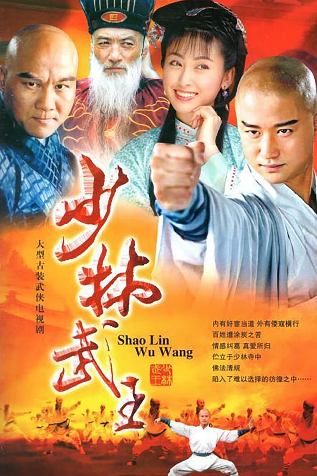 Poster di 少林武王