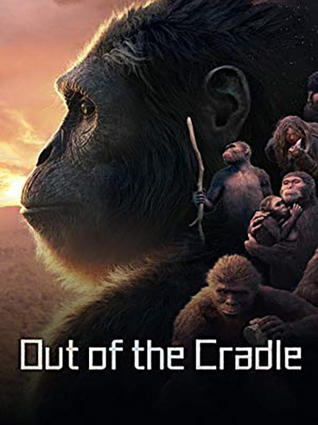 Poster di Out of the Cradle
