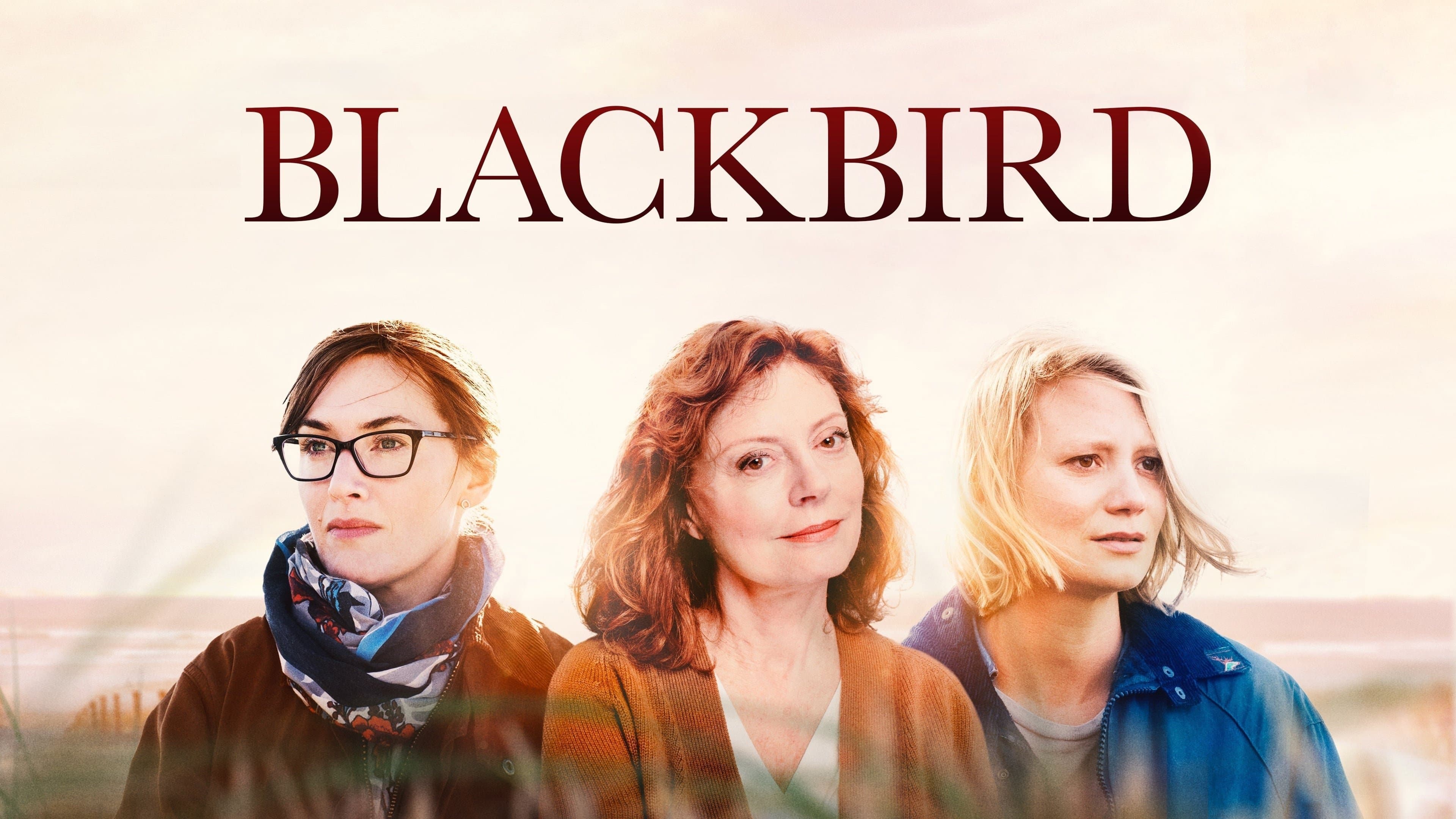 Blackbird - L'ultimo abbraccio - immagine