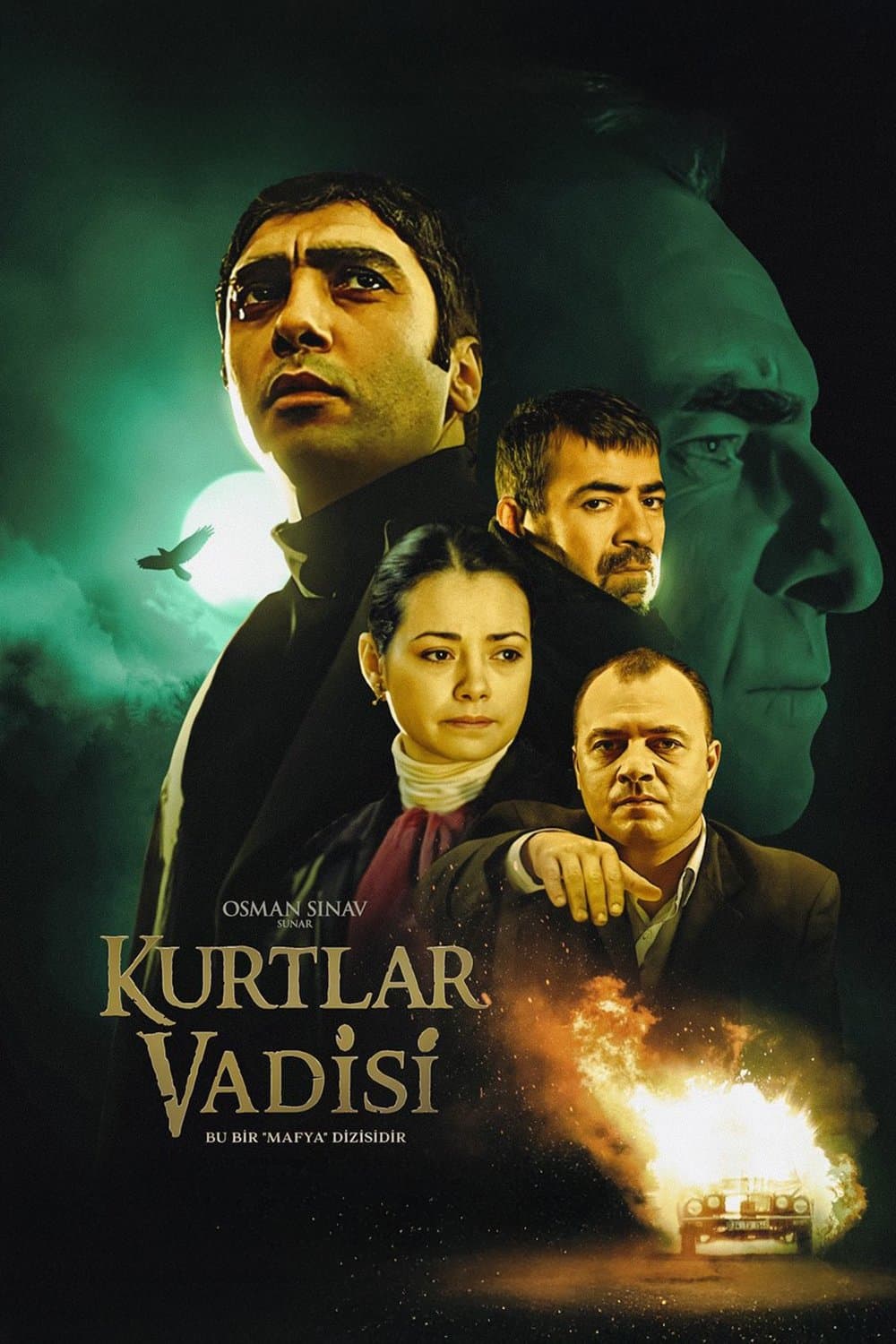Poster di Kurtlar Vadisi