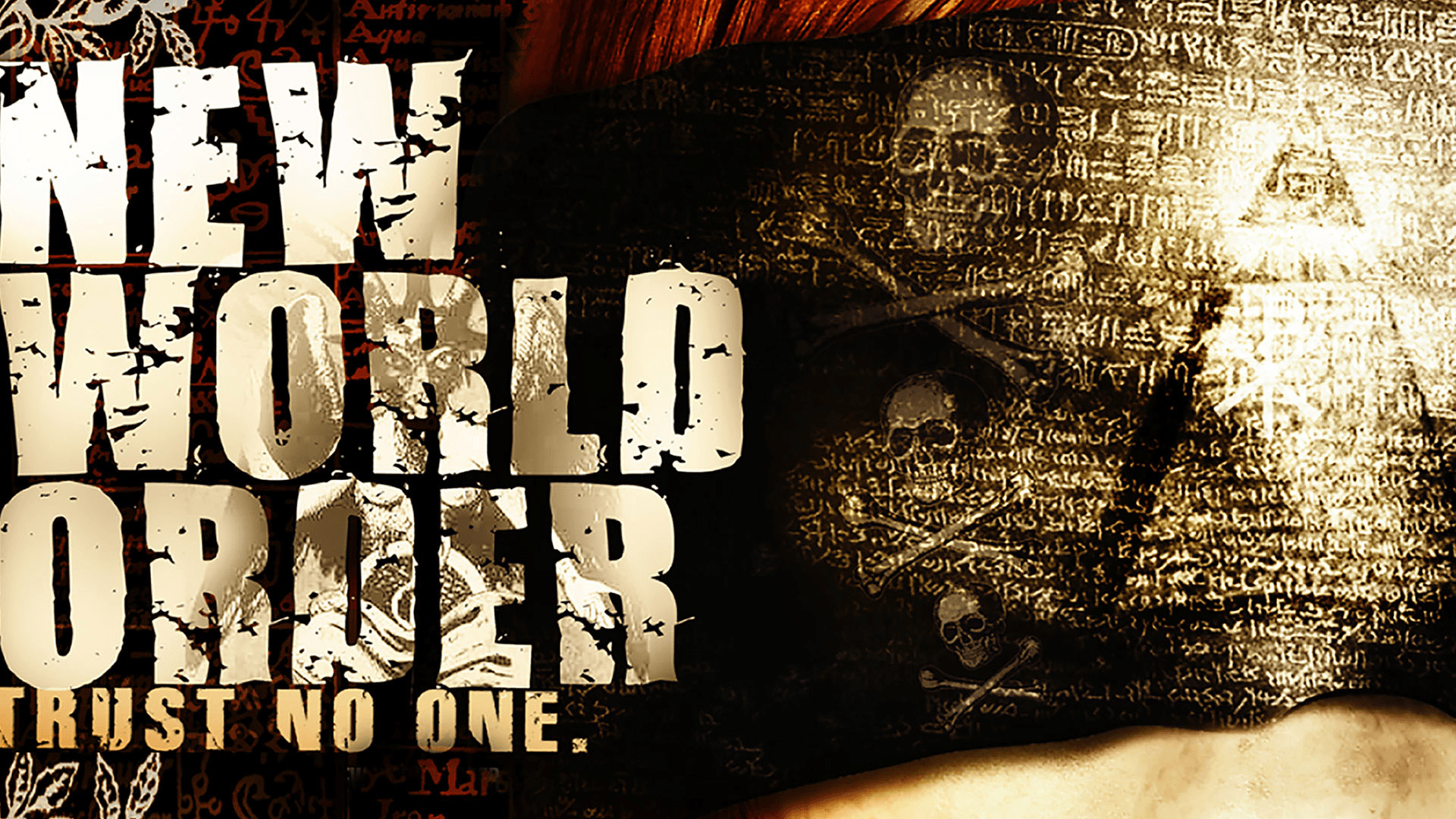 New World Order - immagine