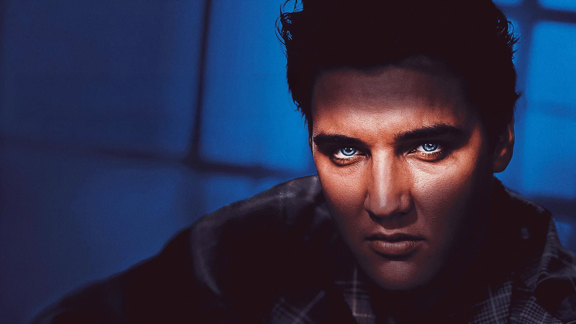 Elvis Presley: Shook Up - immagine