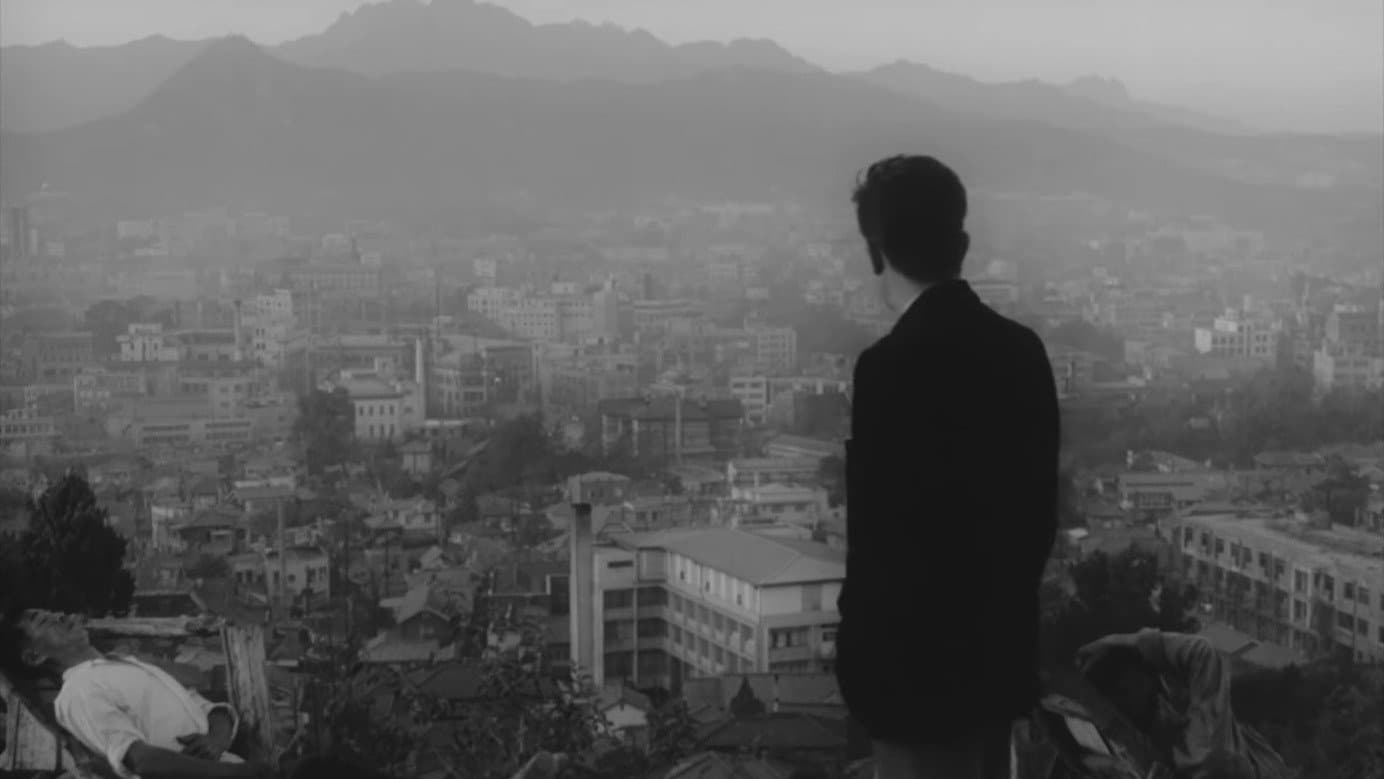Aimless Bullet - immagine