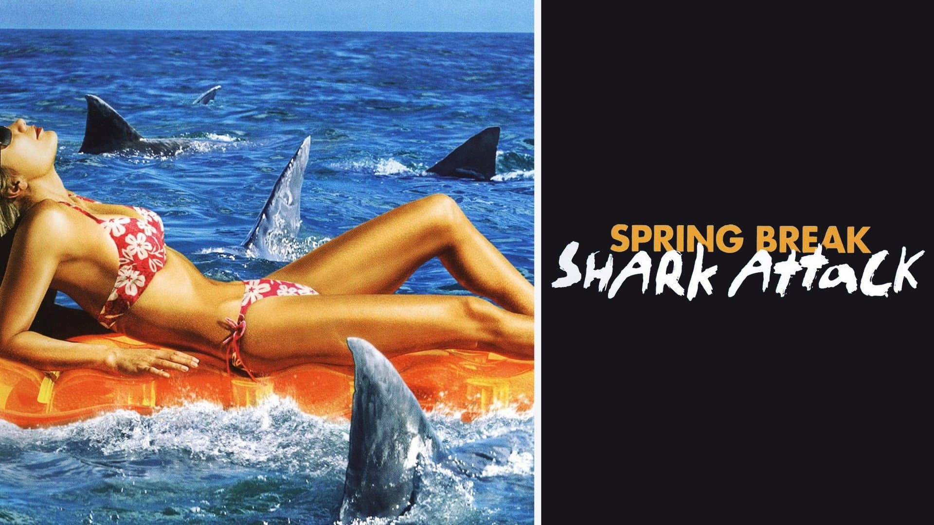 Spring Break Shark Attack - immagine