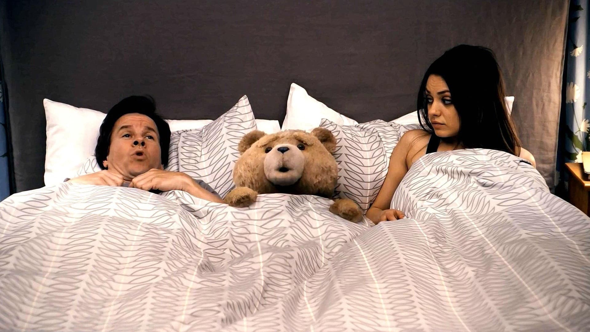 Ted - immagine