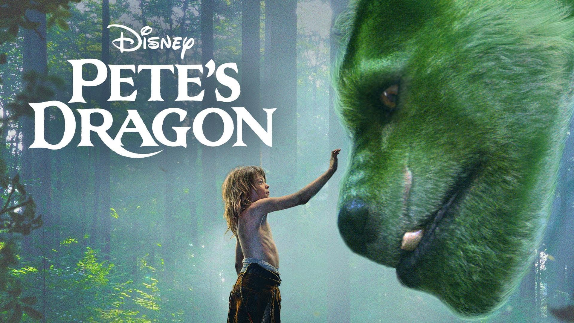 Il drago invisibile - immagine
