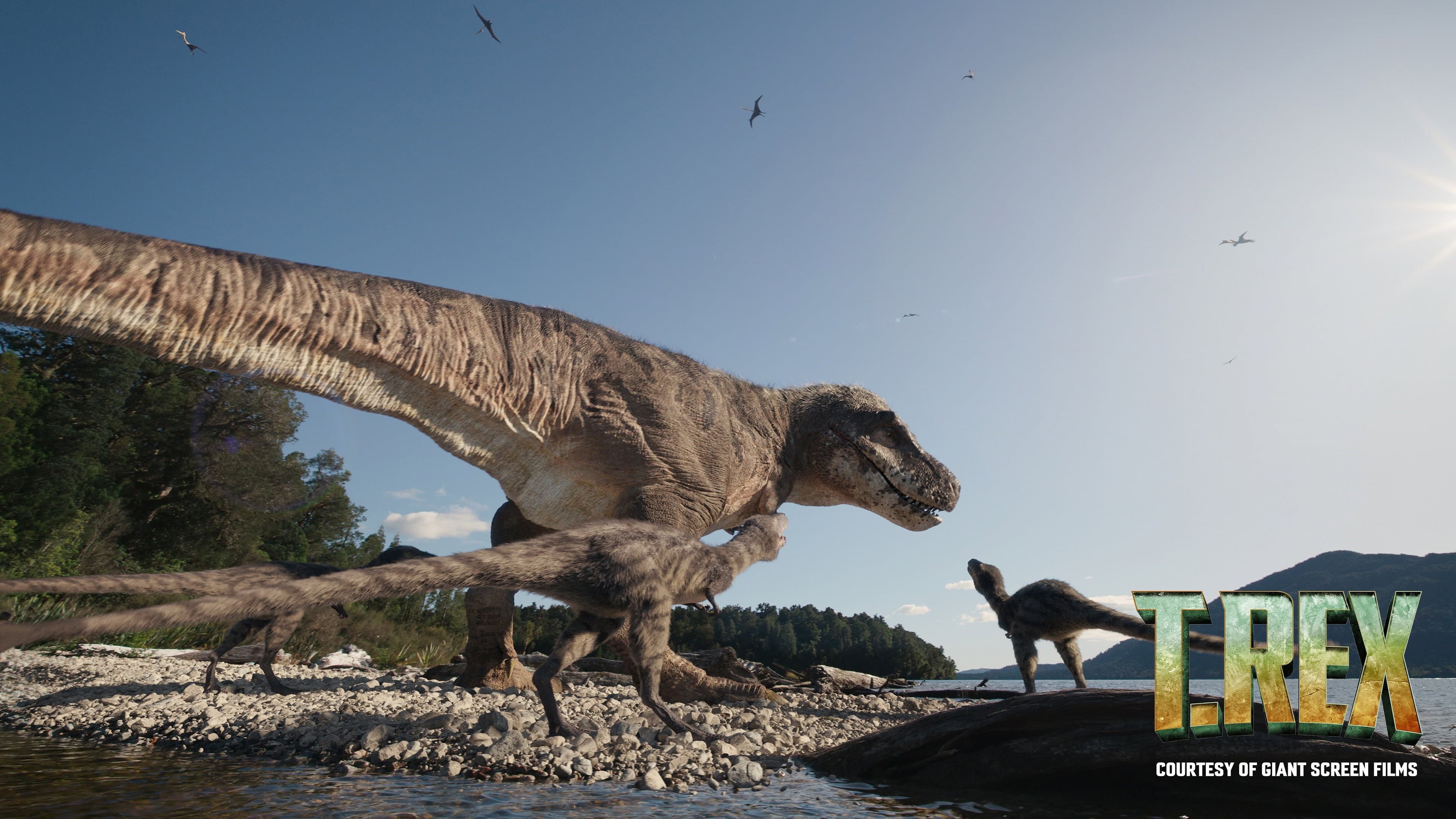 T. REX - immagine