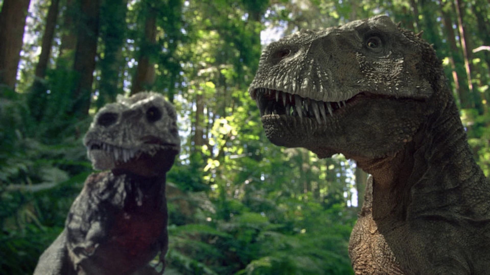 Dinotasia - immagine