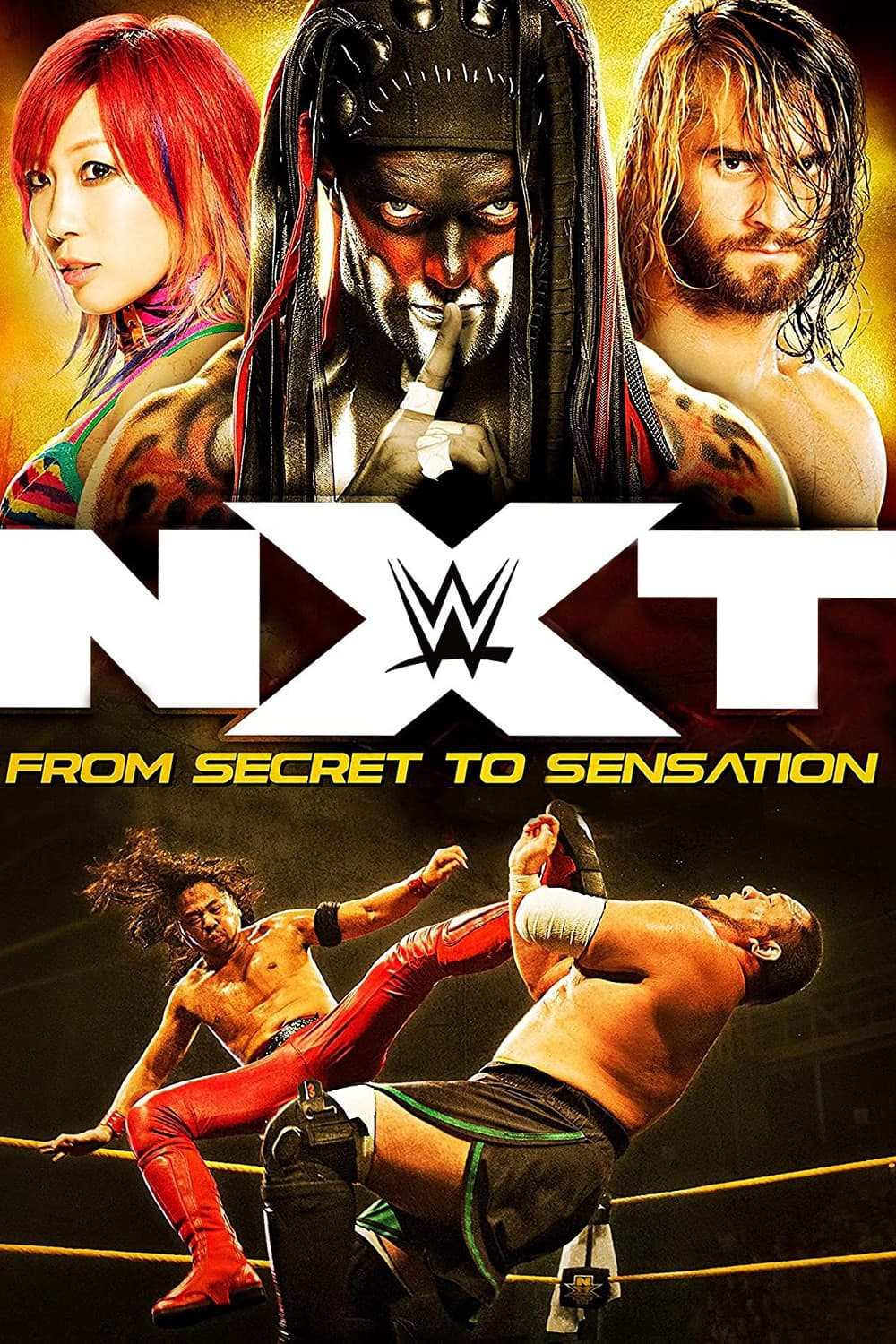 Poster di NXT: From Secret To Sensation