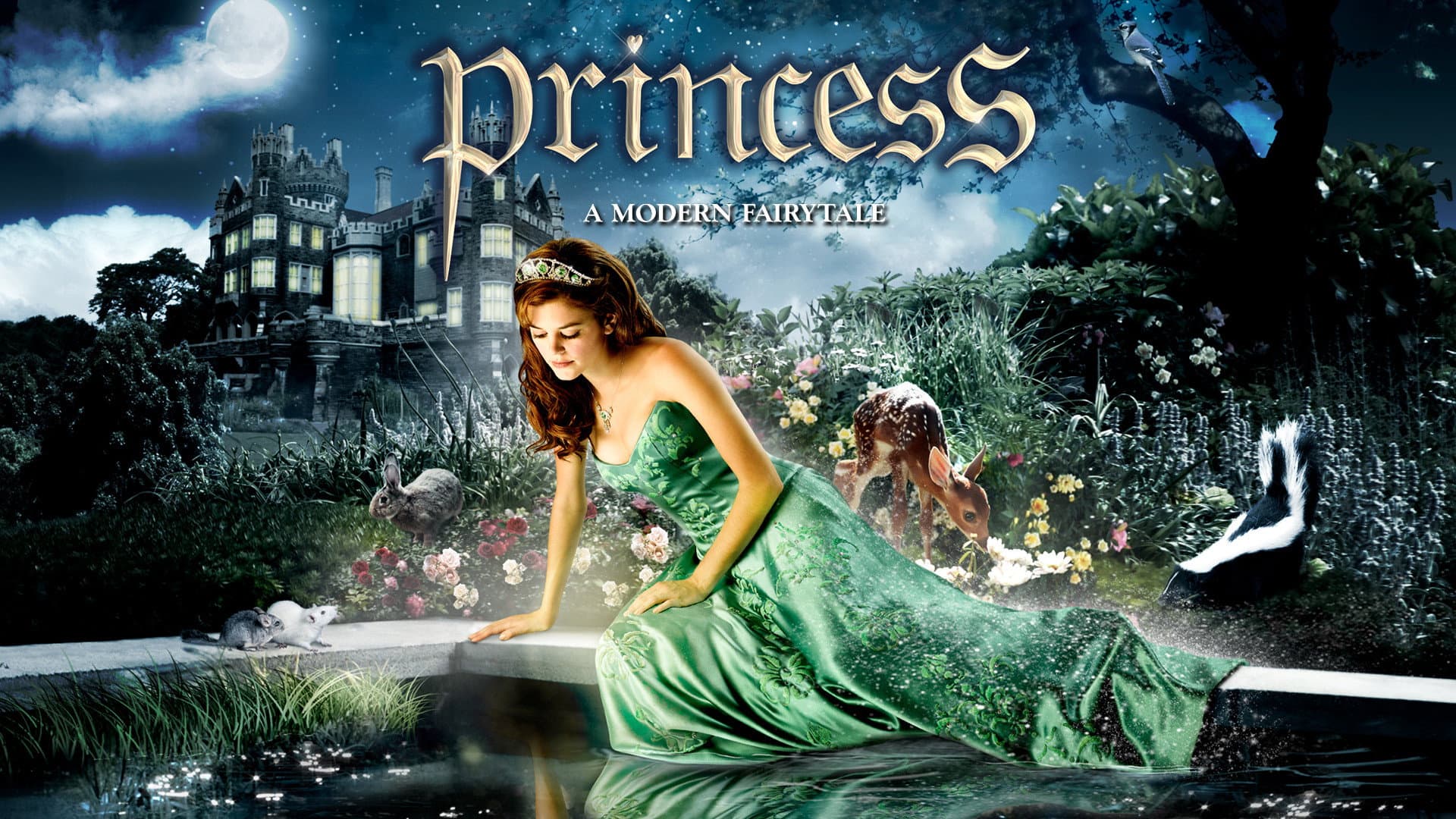Princess – Alla ricerca del vero amore - immagine