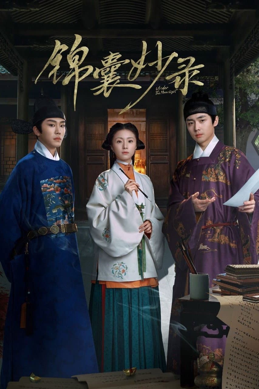 Poster di 锦囊妙录