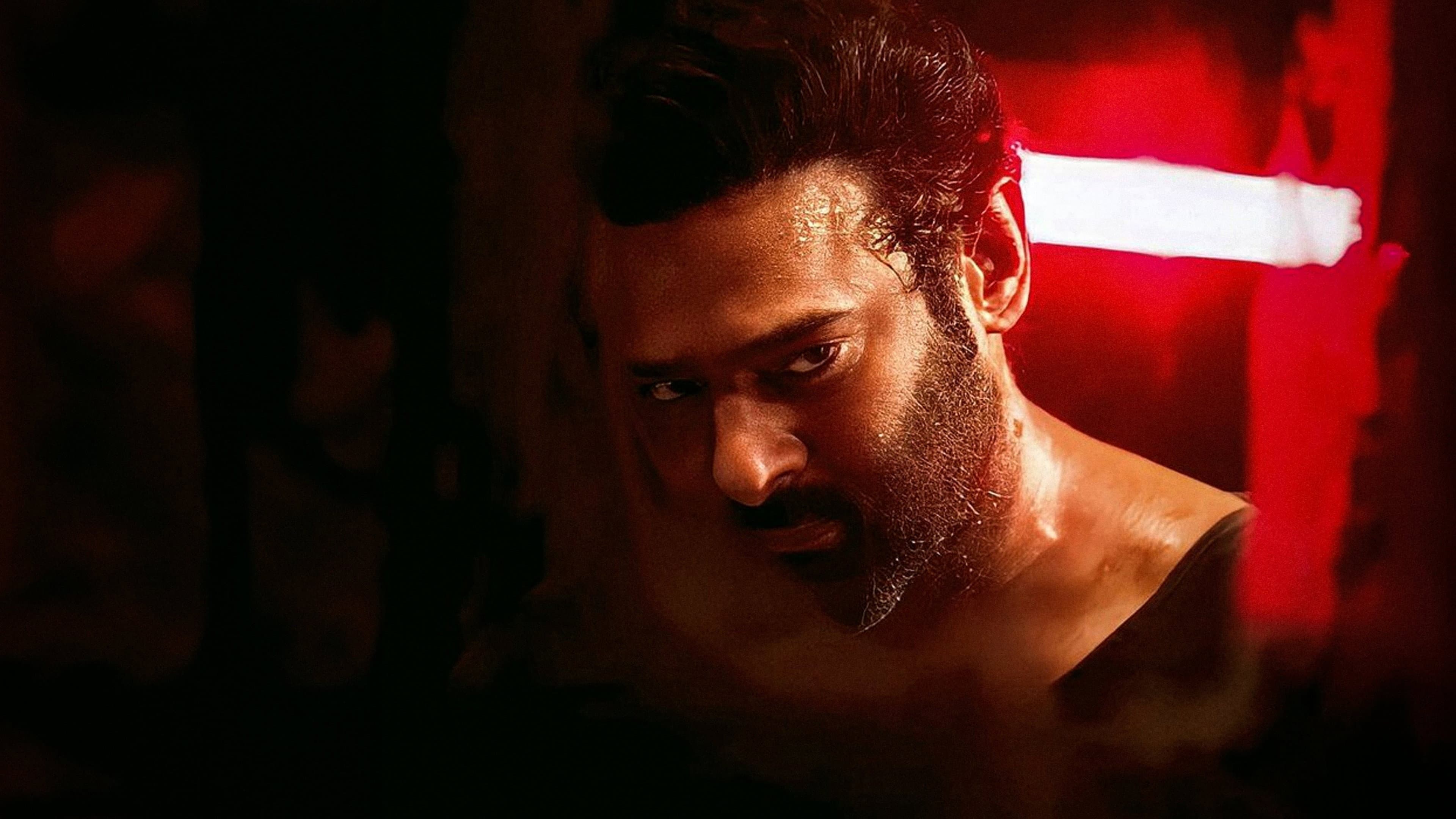 సలార్: పార్ట్‌ 1 – సీజ్‌ఫైర్‌ - immagine