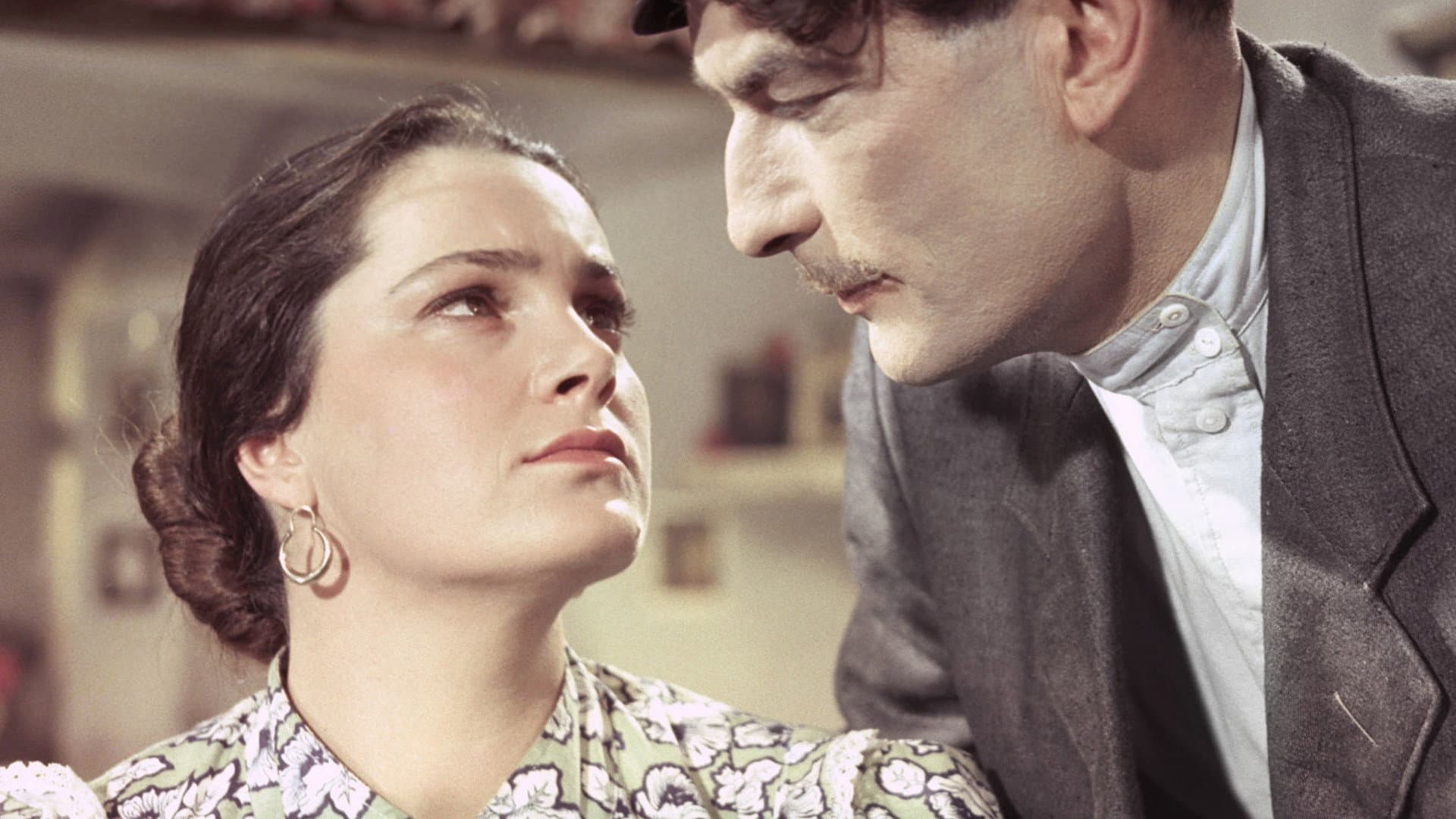 Il placido Don - immagine