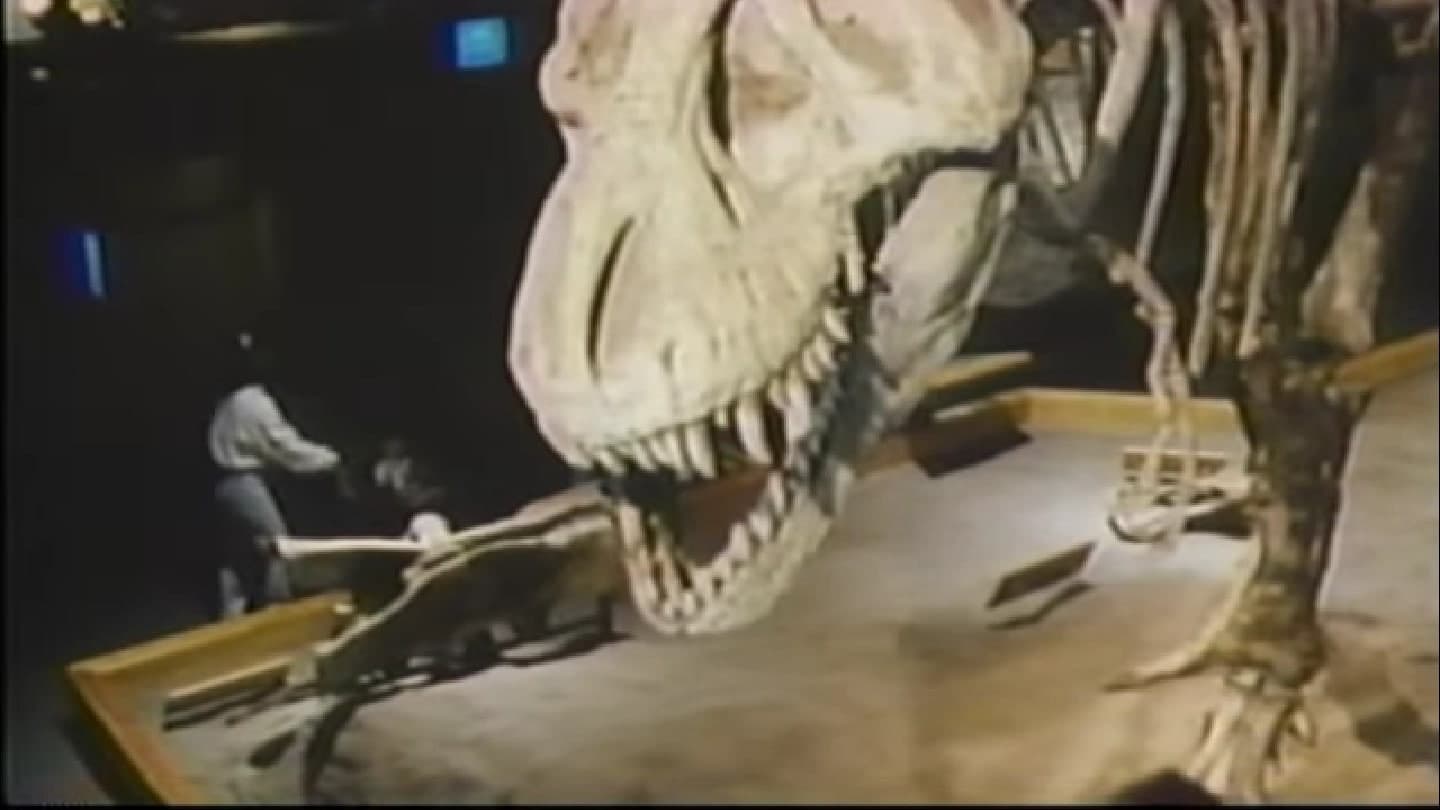 The Real Jurassic Park - immagine