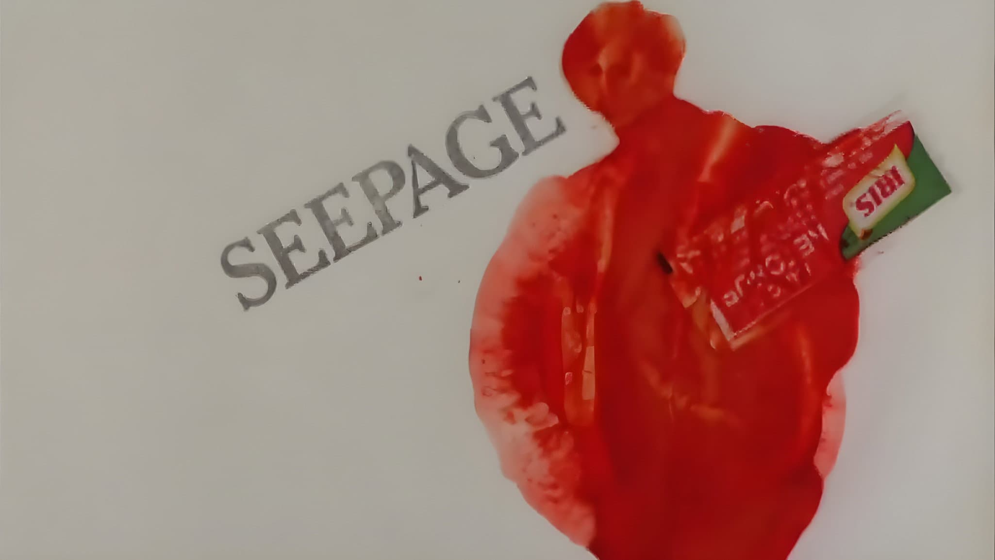 Seepage - immagine