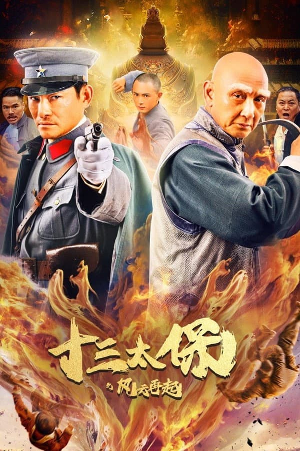 Poster di 十三太保之风云再起