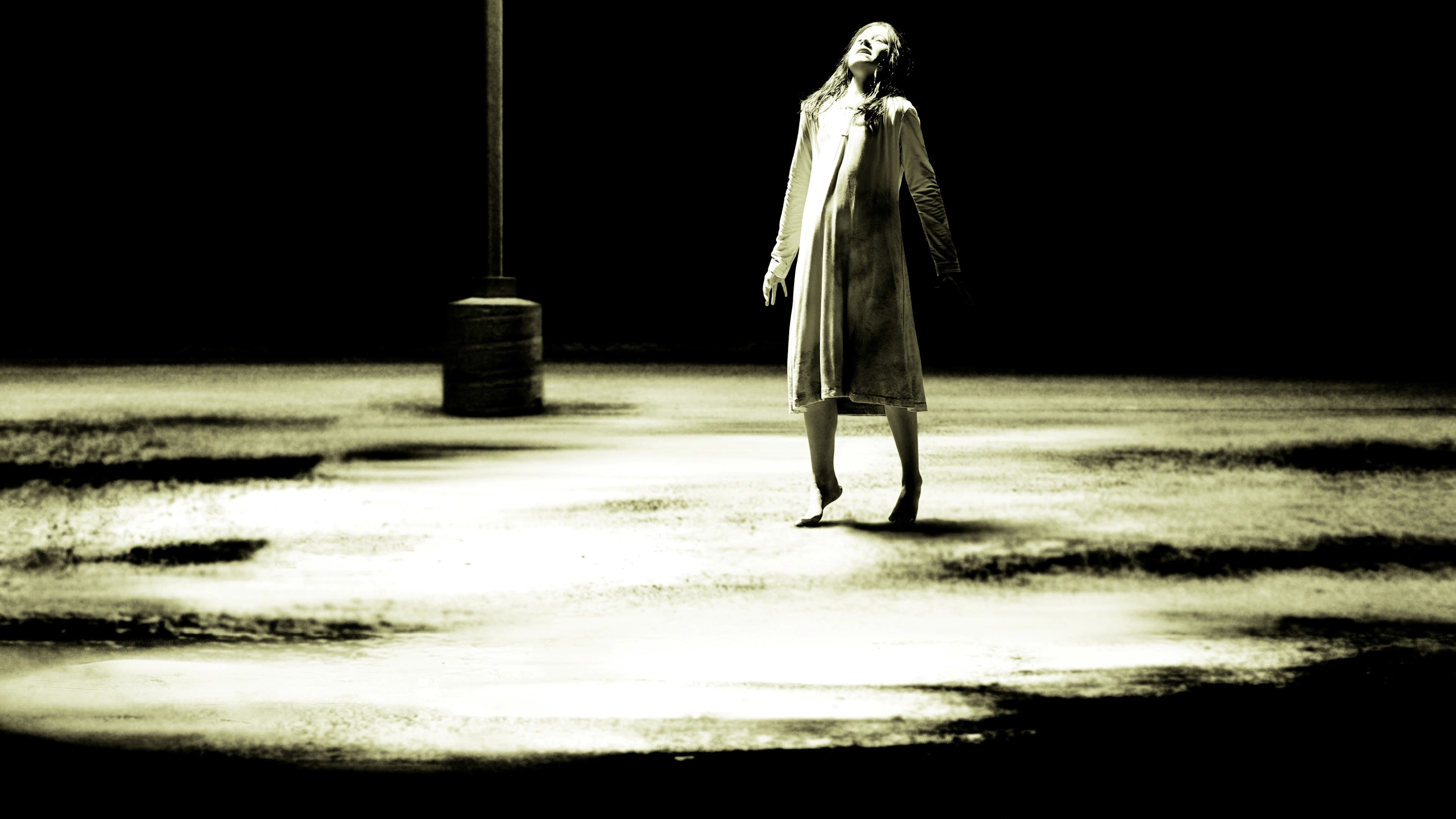 The Possession - immagine
