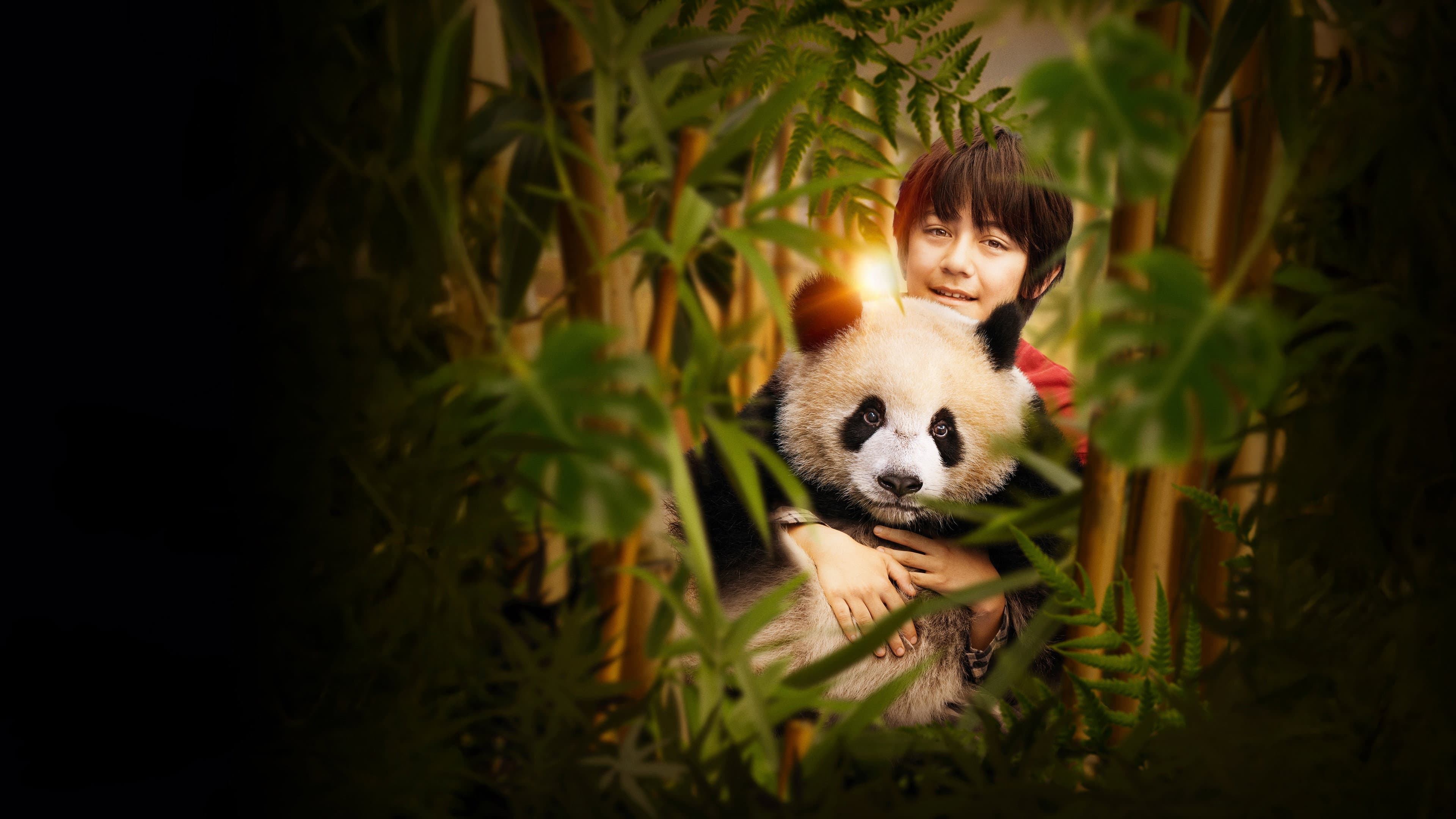 Moon il panda - immagine