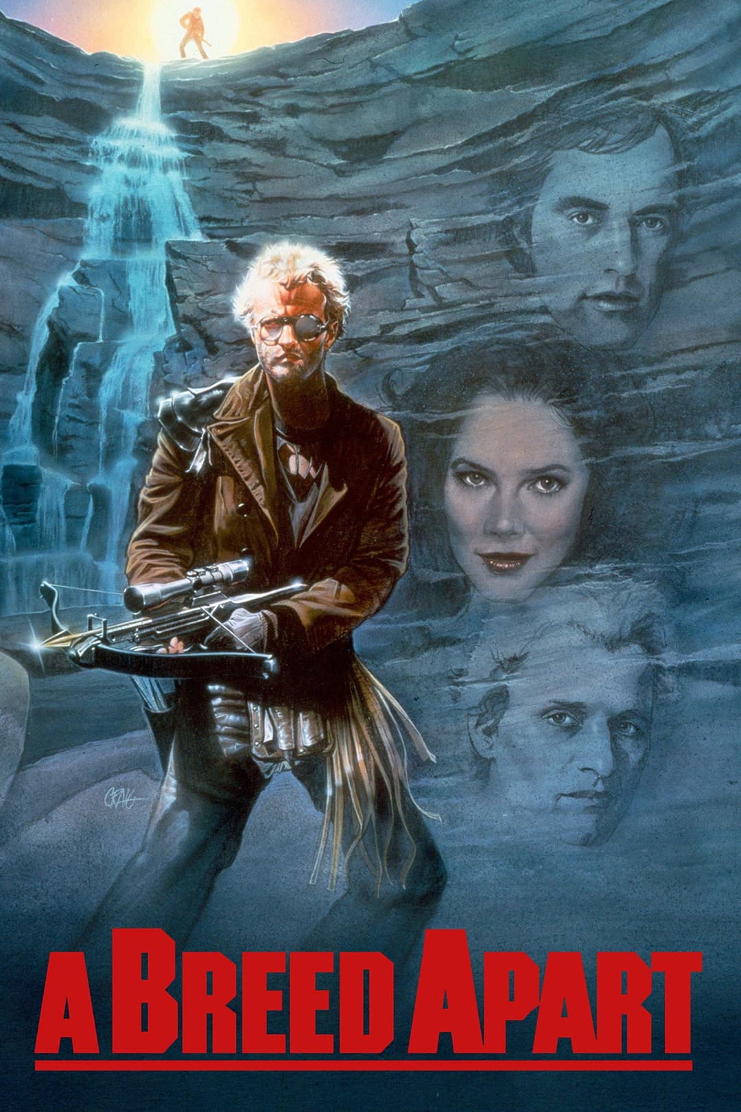 Poster di Il nido dell'aquila