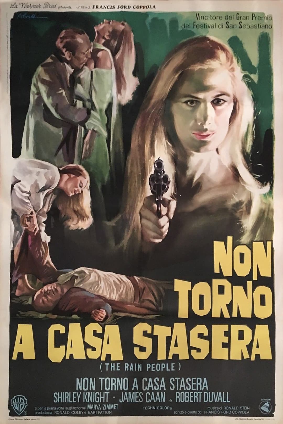 Poster di Non torno a casa stasera