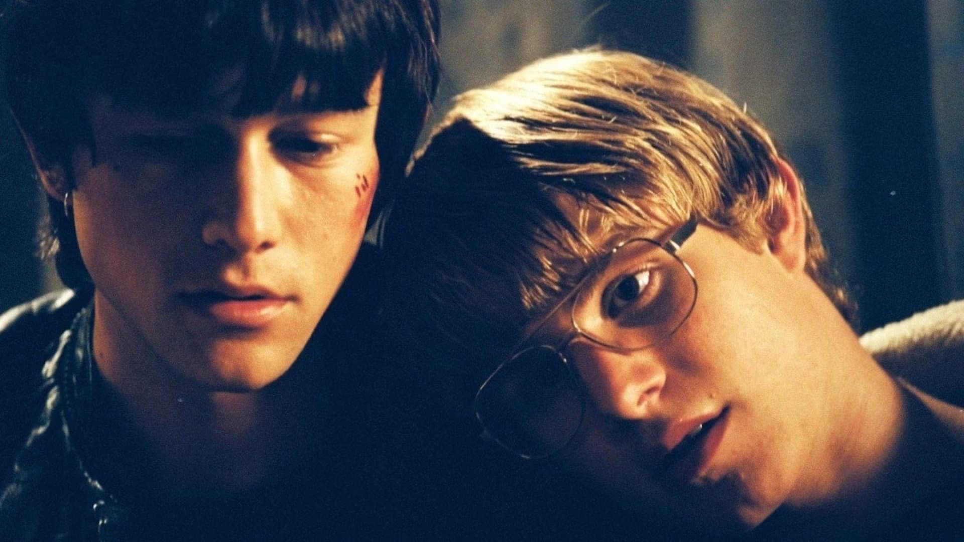 Mysterious Skin - immagine