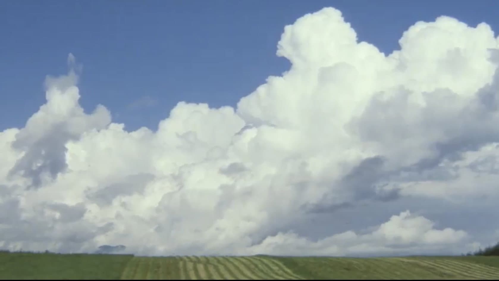 A Distant Cry from Spring - immagine