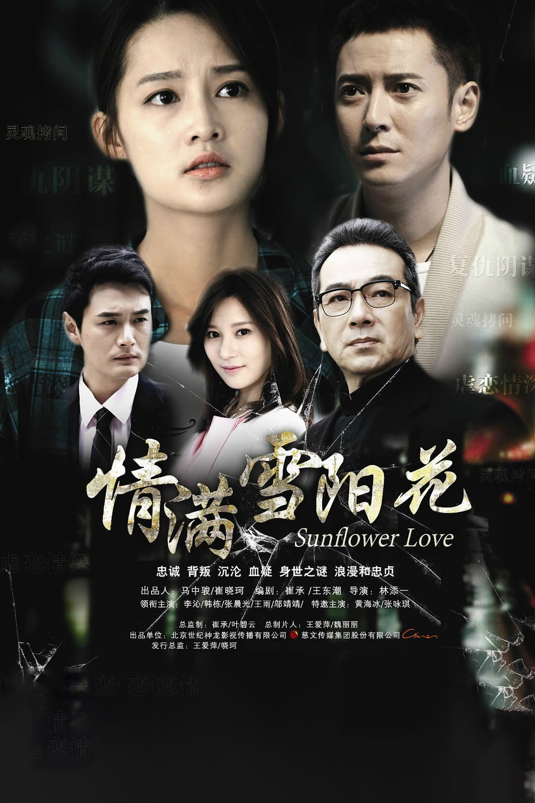 Poster di 情满雪阳花