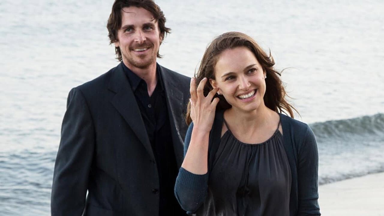 Knight of Cups - immagine