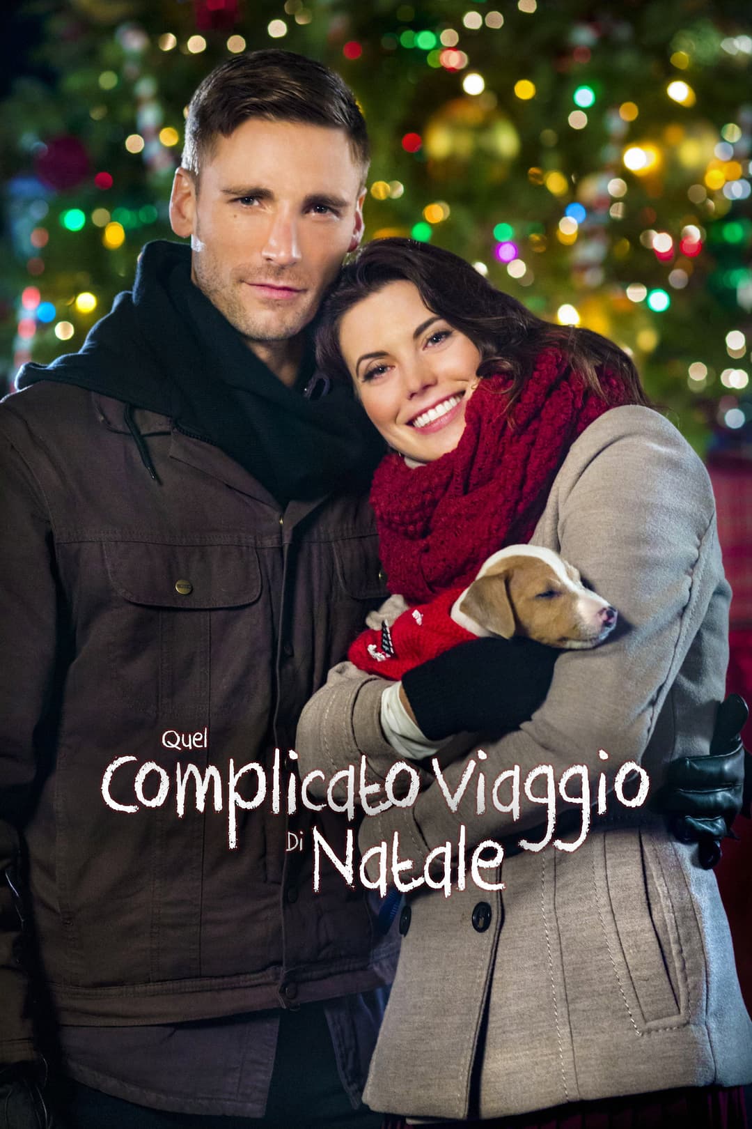 Poster di Quel complicato viaggio di Natale