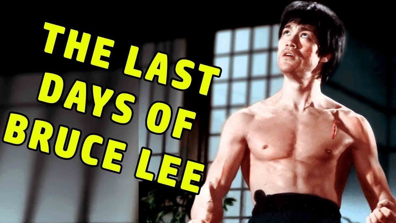 The Last Days of Bruce Lee - immagine