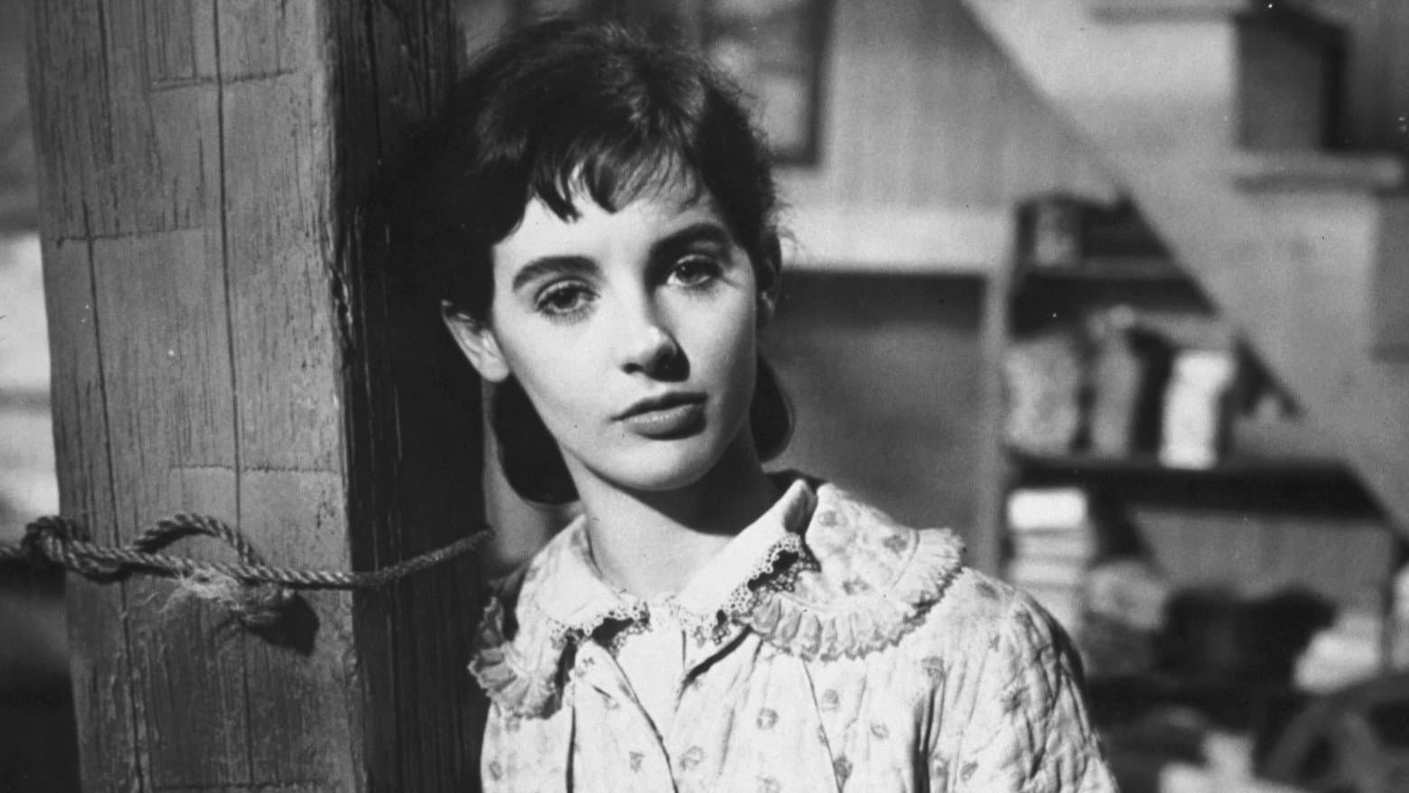 Il diario di Anna Frank - immagine