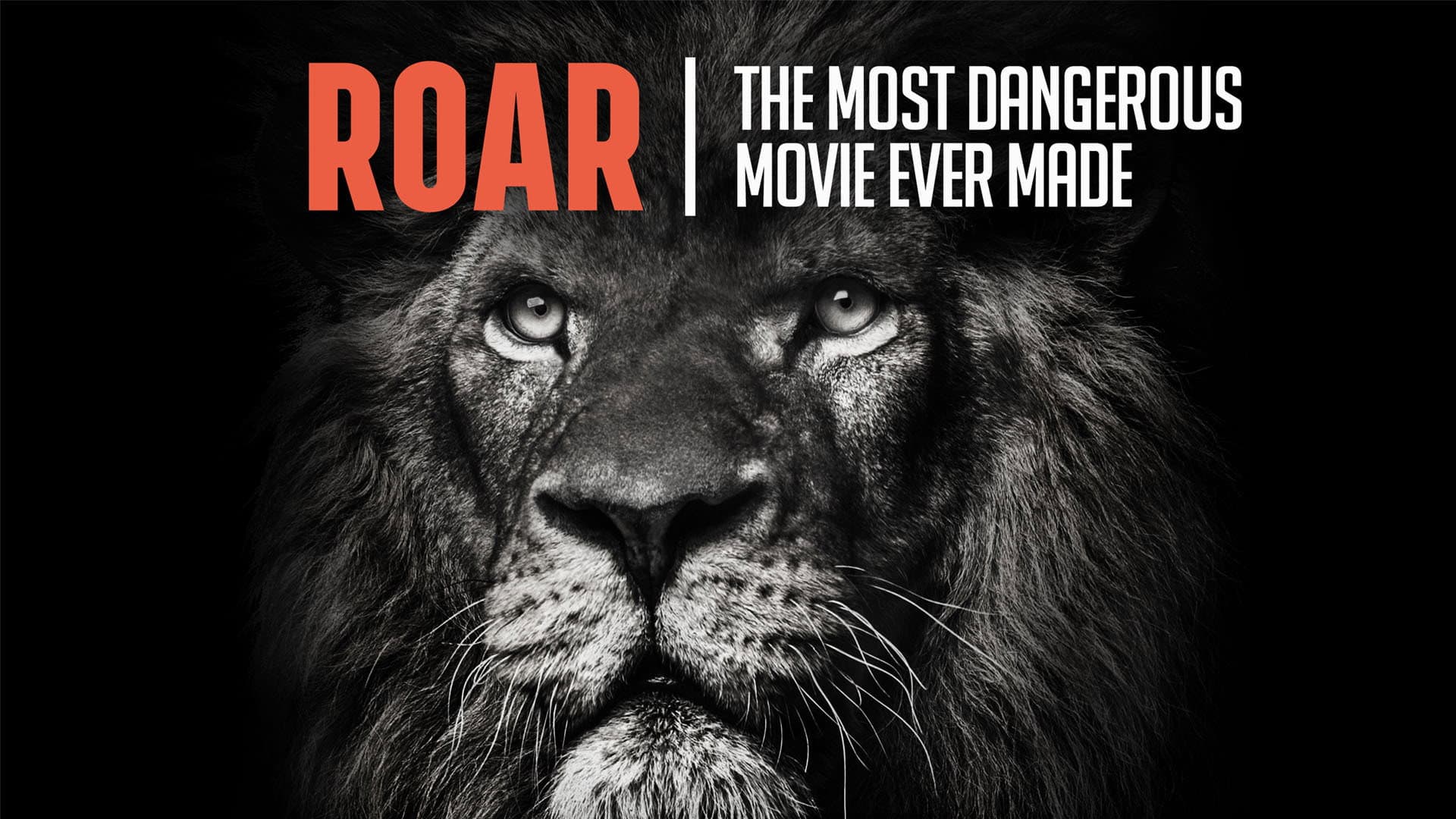 Roar: The Most Dangerous Movie Ever Made - immagine