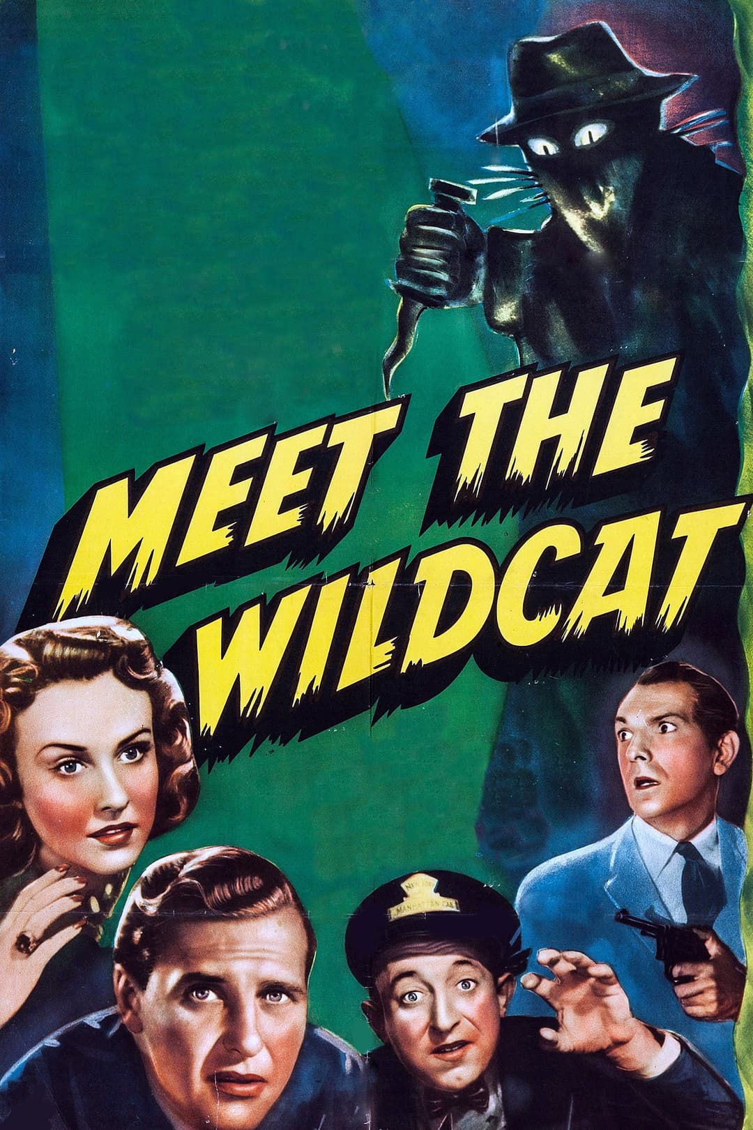 Poster di Meet the Wildcat