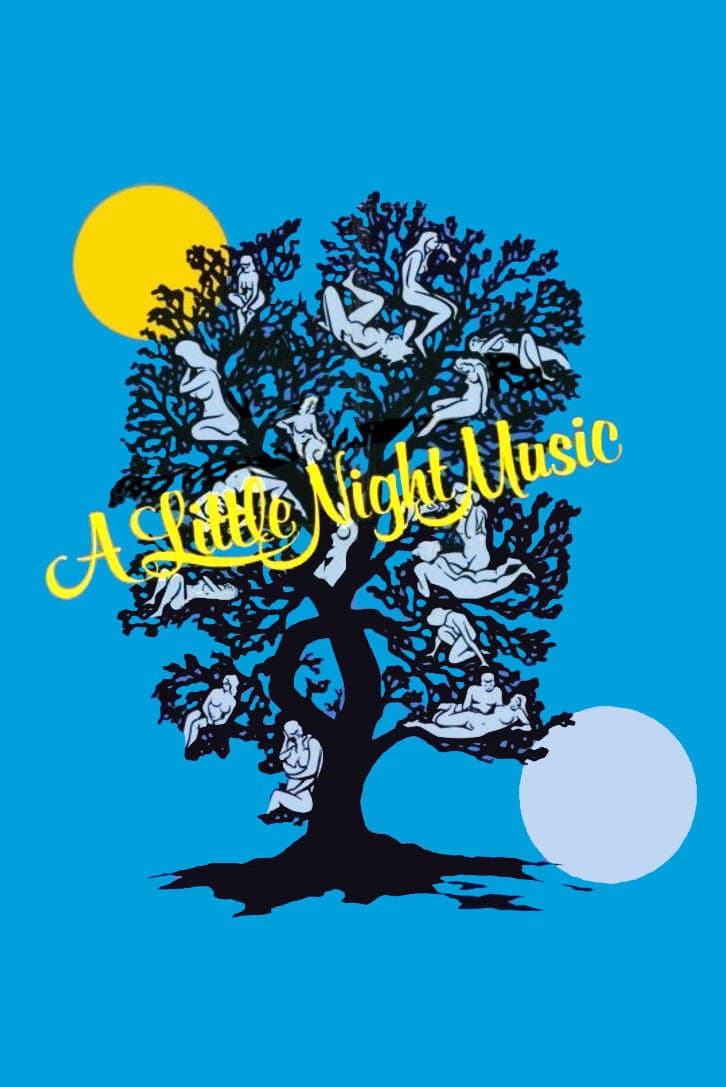 Poster di Un po' di musica notturna