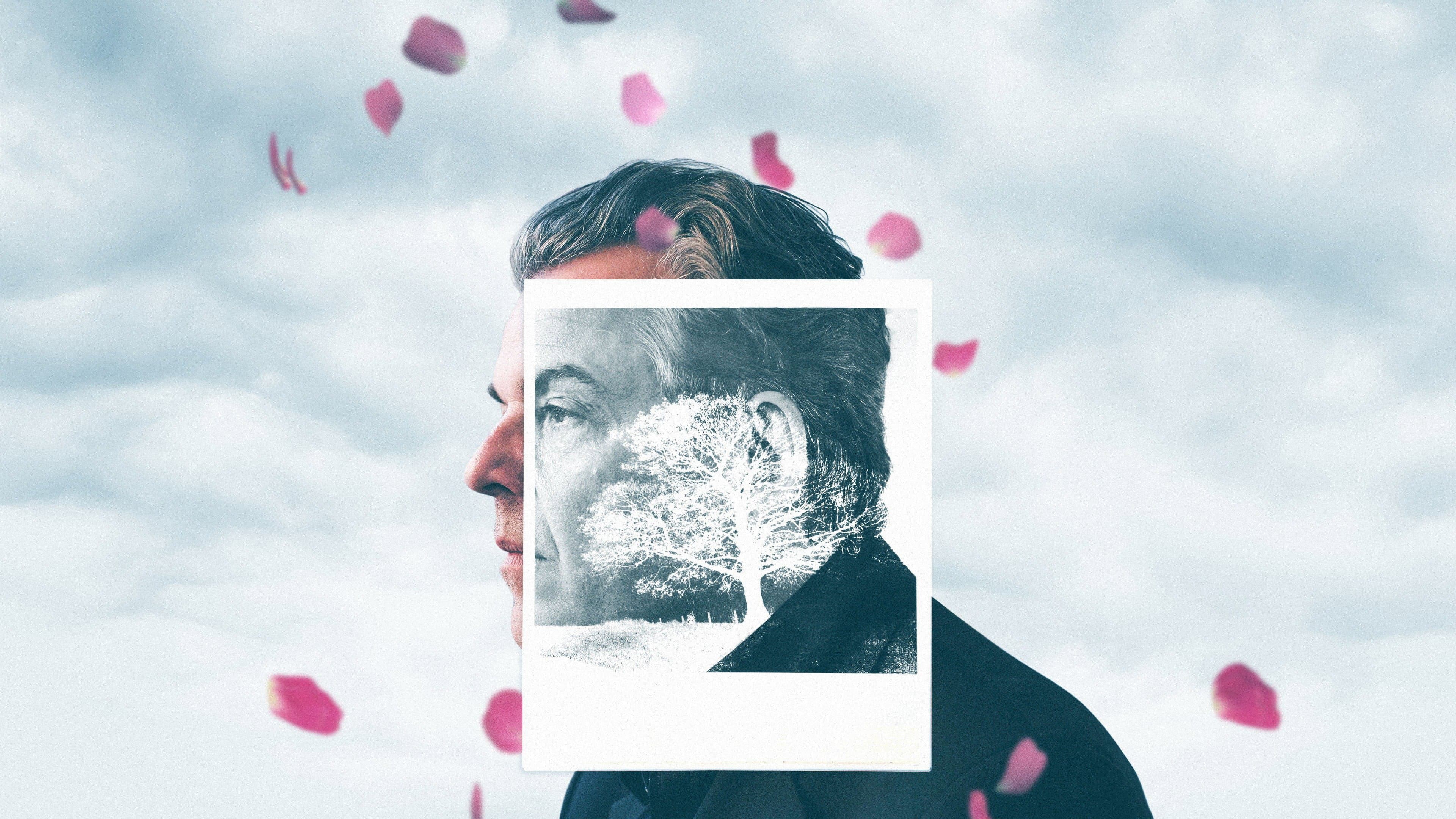 The Last Photograph - immagine